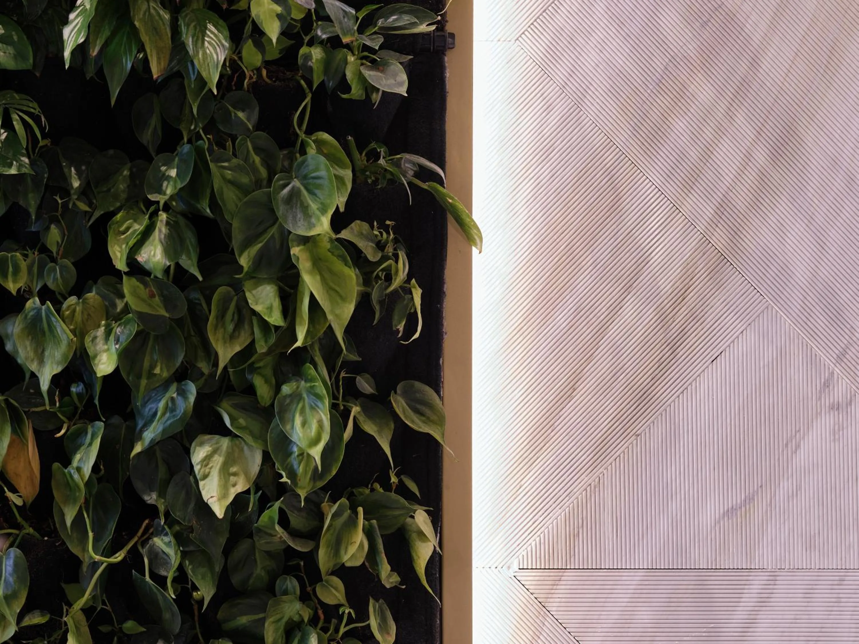 Decorative detail in Anthology of Athens, The Leading Hotels of the World