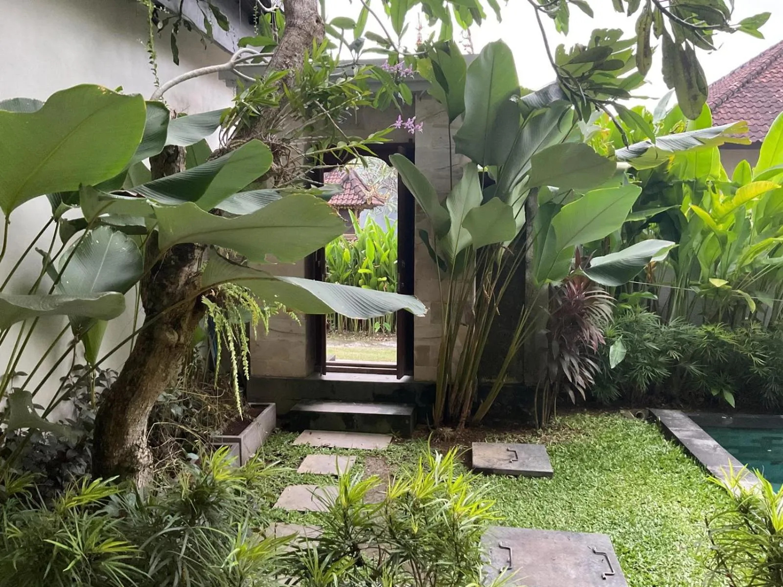 Garden view in D'tegal Guest House- Tropical Courtyard in Canggu