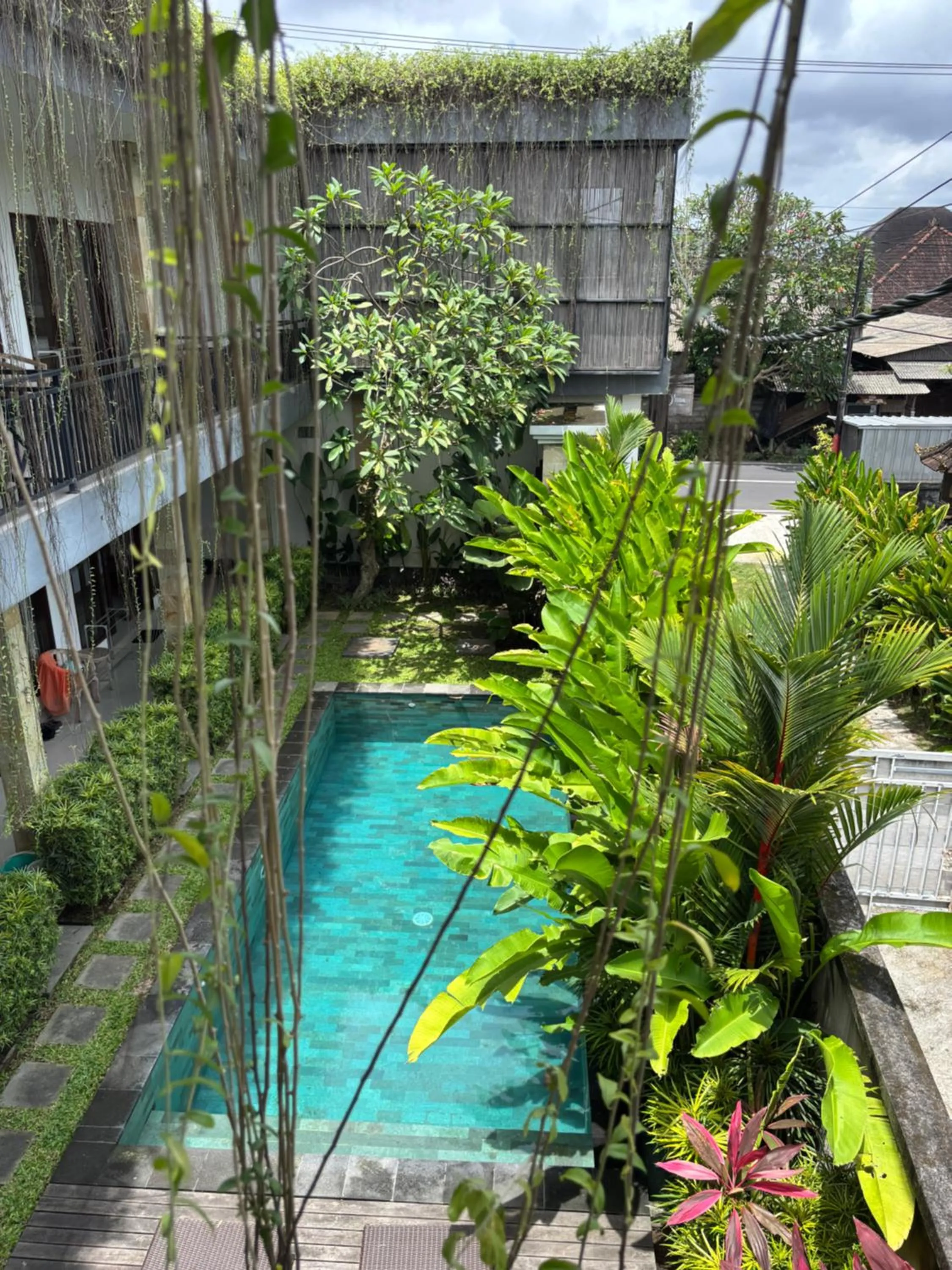 Garden in D'tegal Guest House- Tropical Courtyard in Canggu