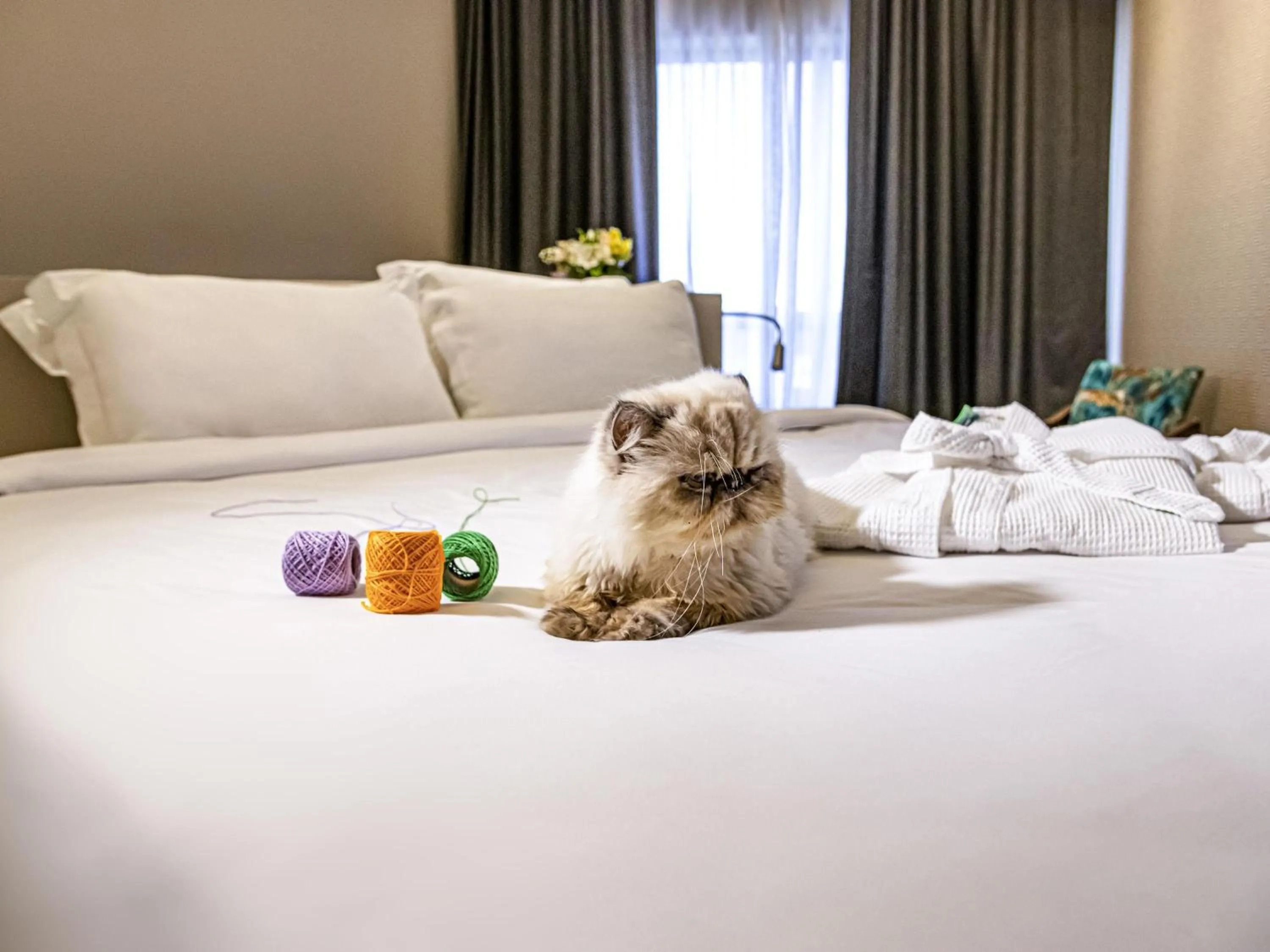 Bedroom, Bed in Mercure Florianópolis
