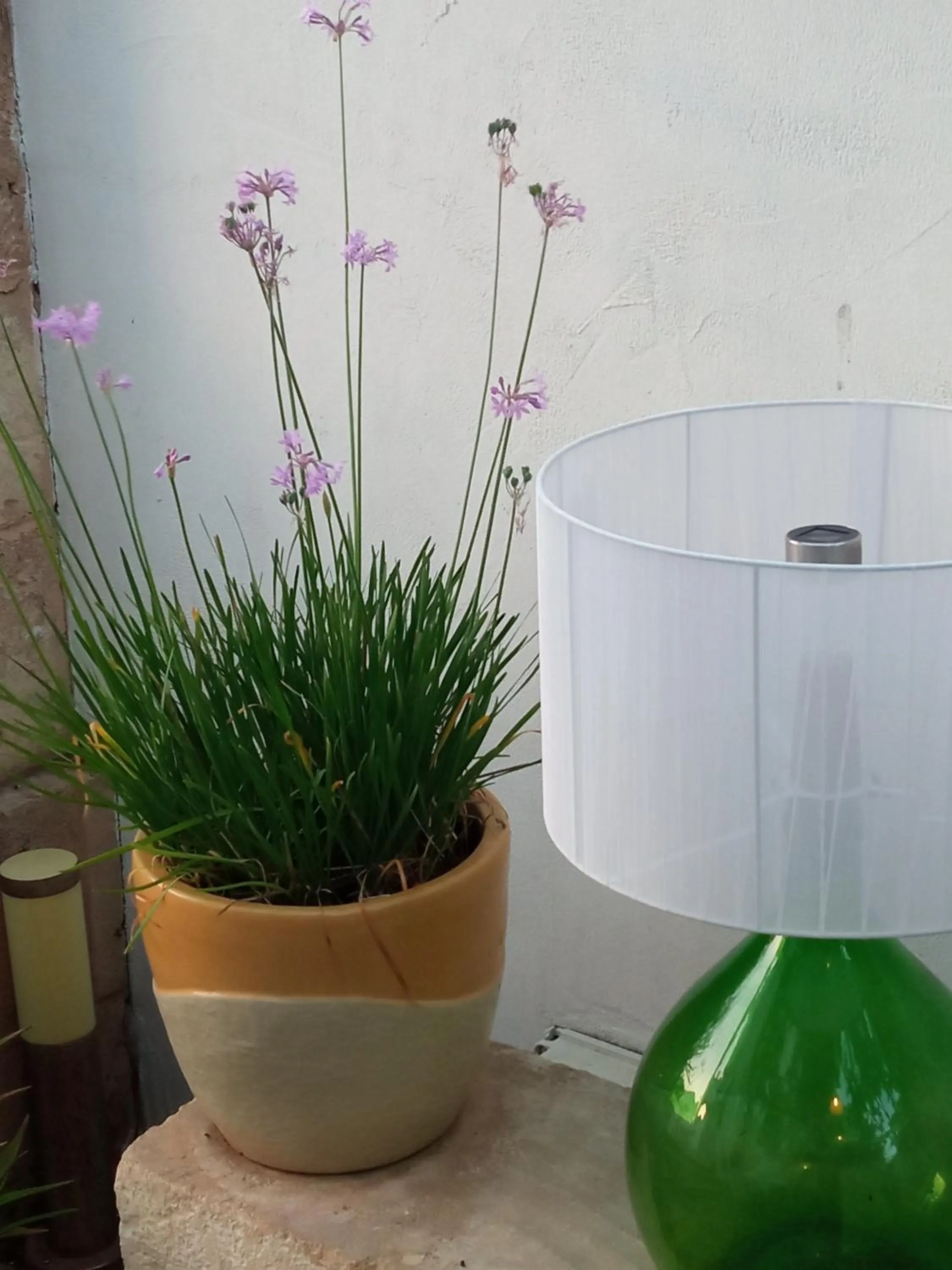 Alchimia tra suoni e colori