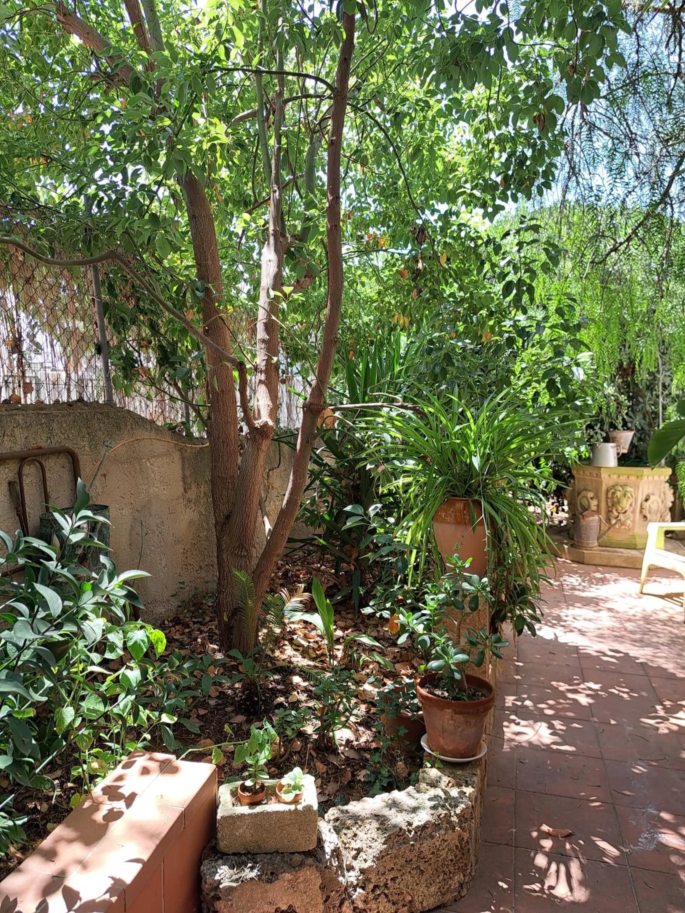 Alchimia tra suoni e colori