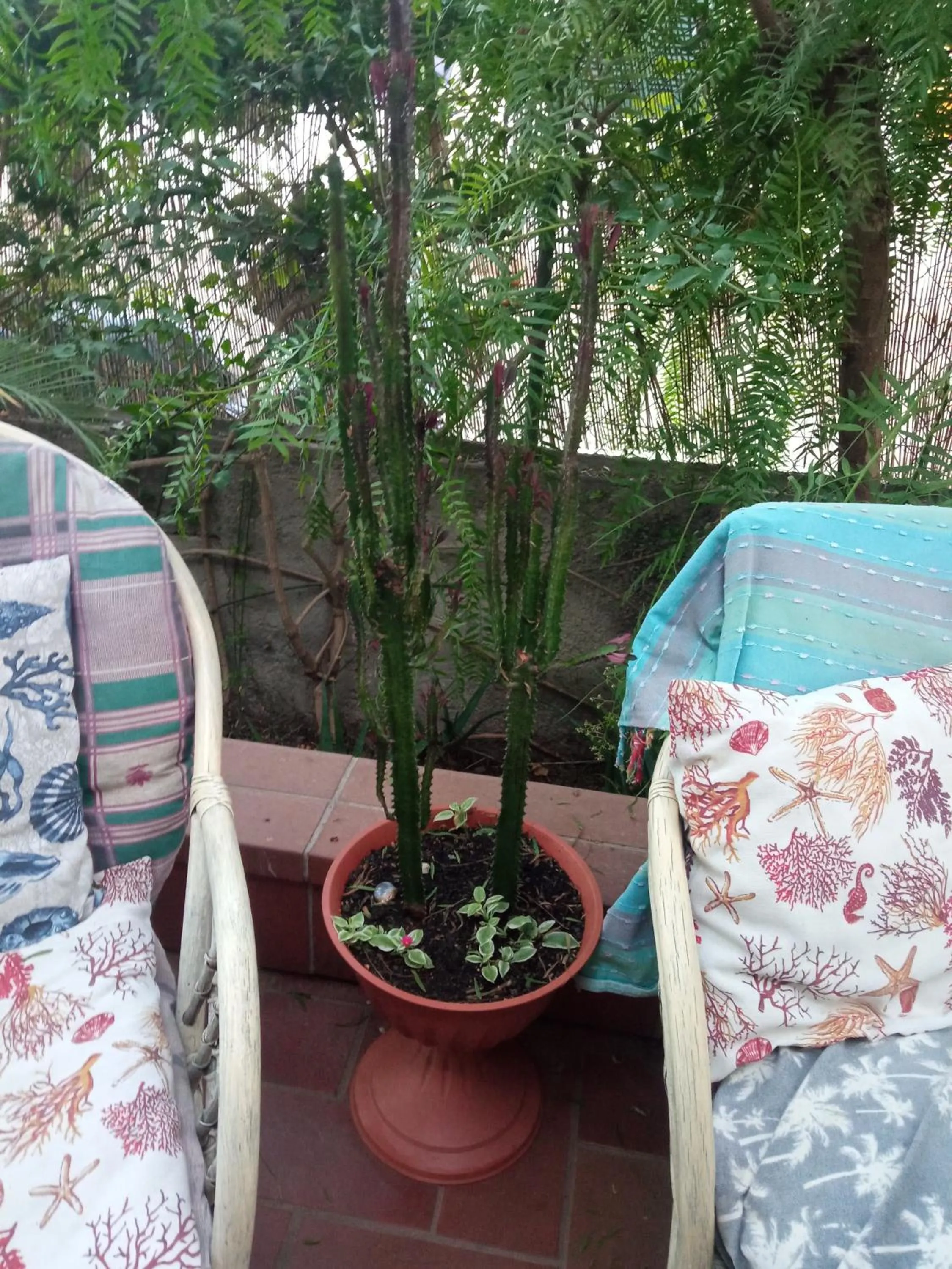 Alchimia tra suoni e colori