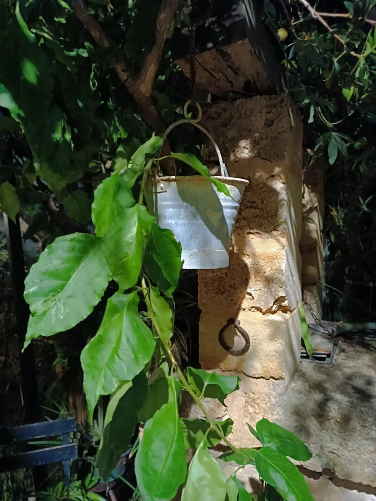 Alchimia tra suoni e colori