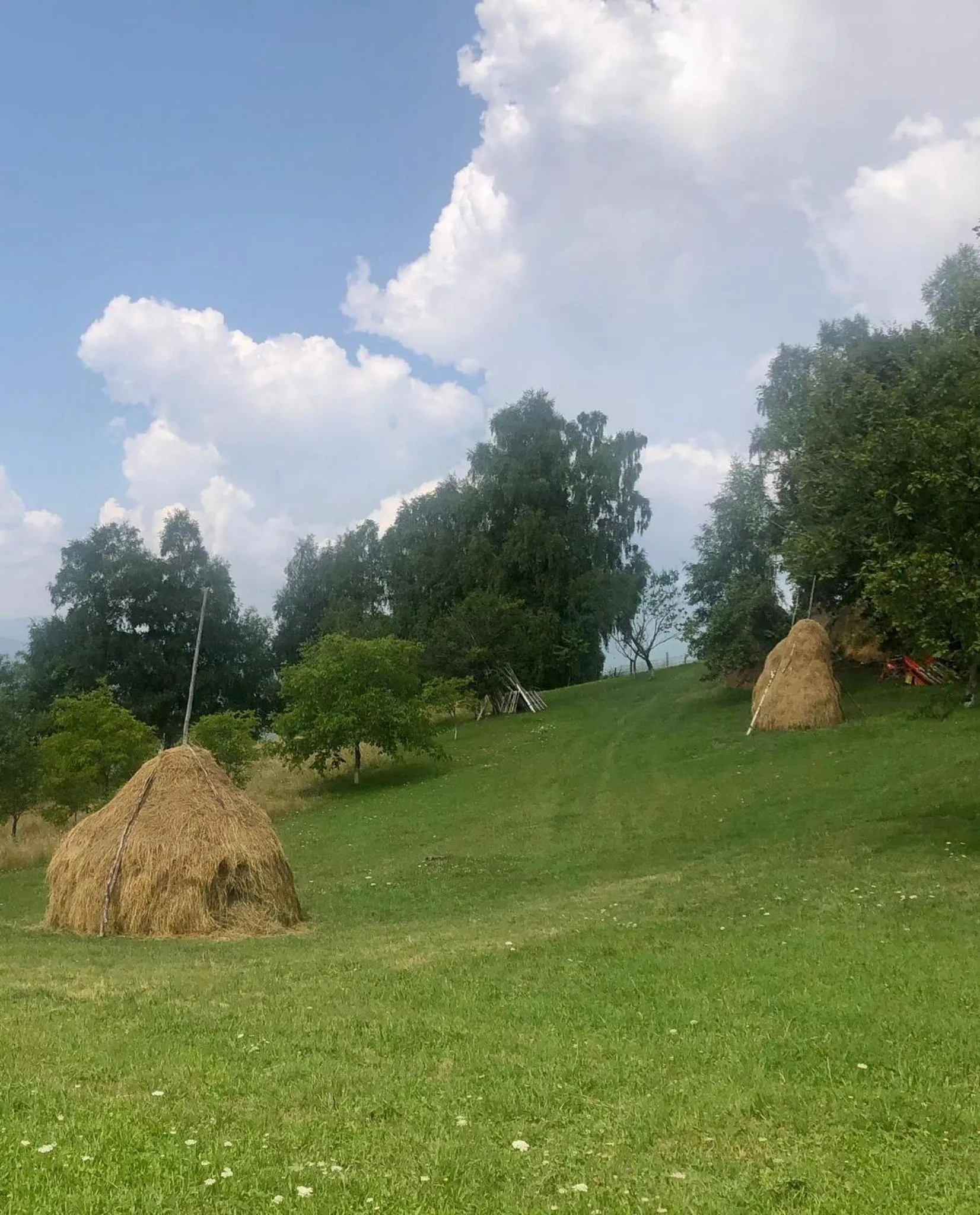 View (from property/room) in Pensiunea Poiana Viselor
