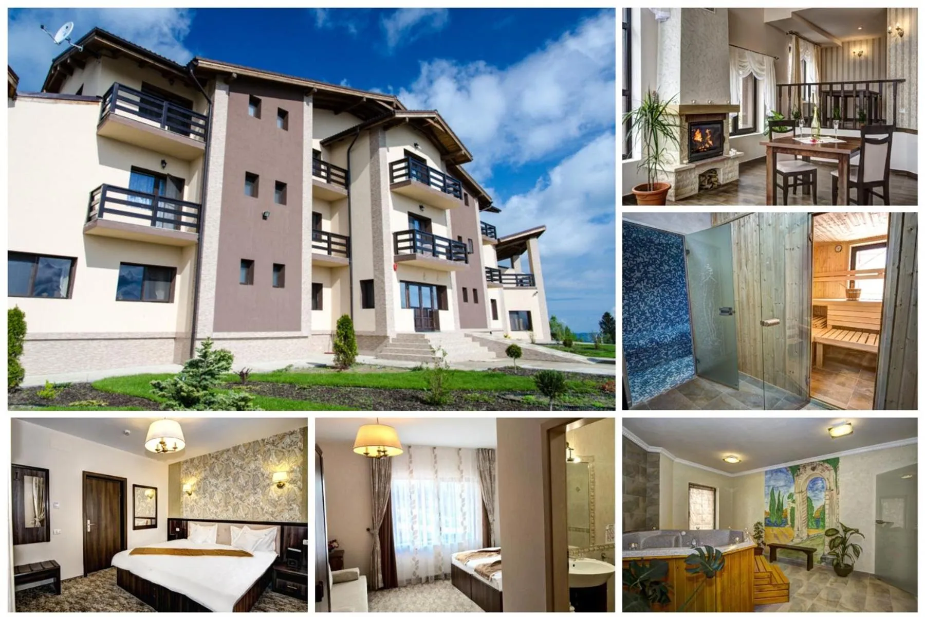 Pensiunea Poiana Viselor