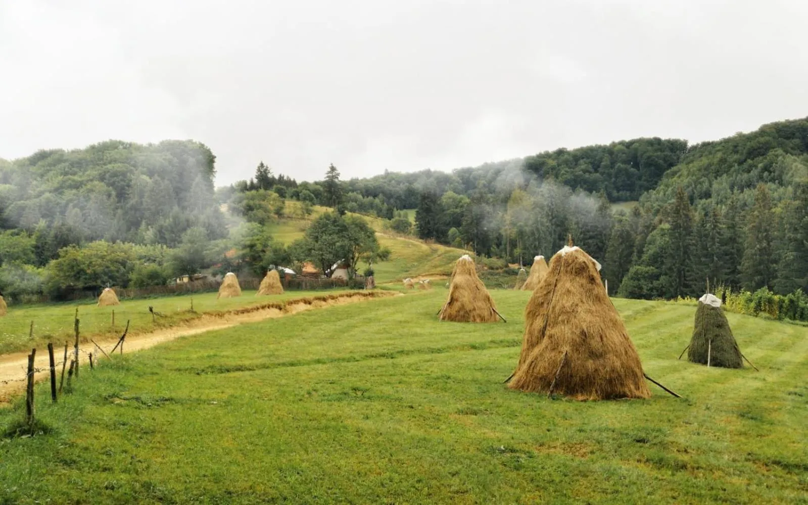 View (from property/room) in Pensiunea Poiana Viselor