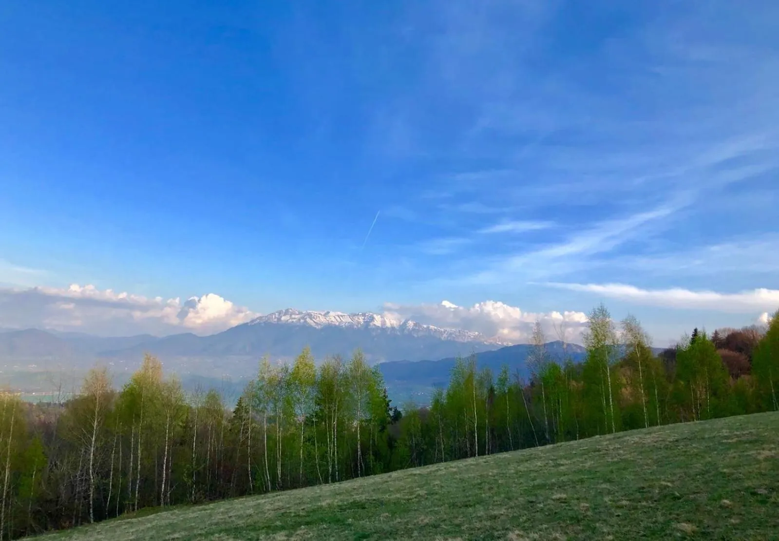 View (from property/room) in Pensiunea Poiana Viselor
