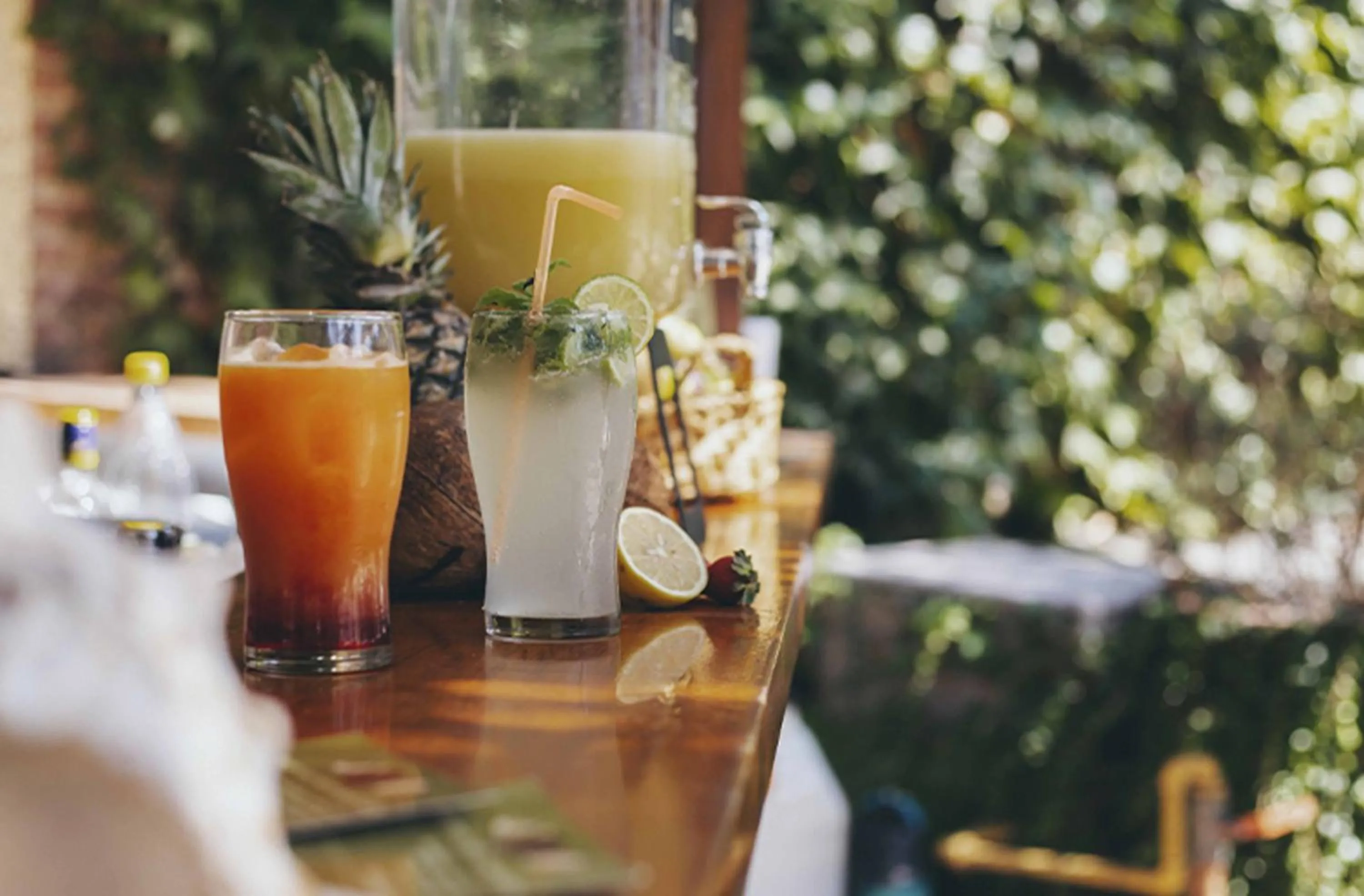 Posada Suiza by Prima Collection