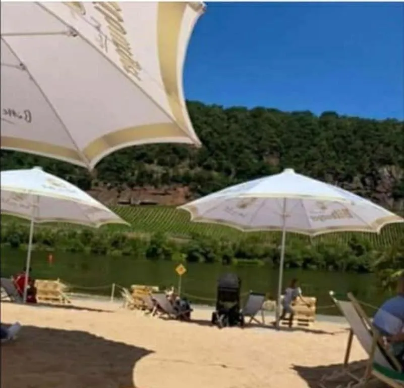 Cozy Central Apartment