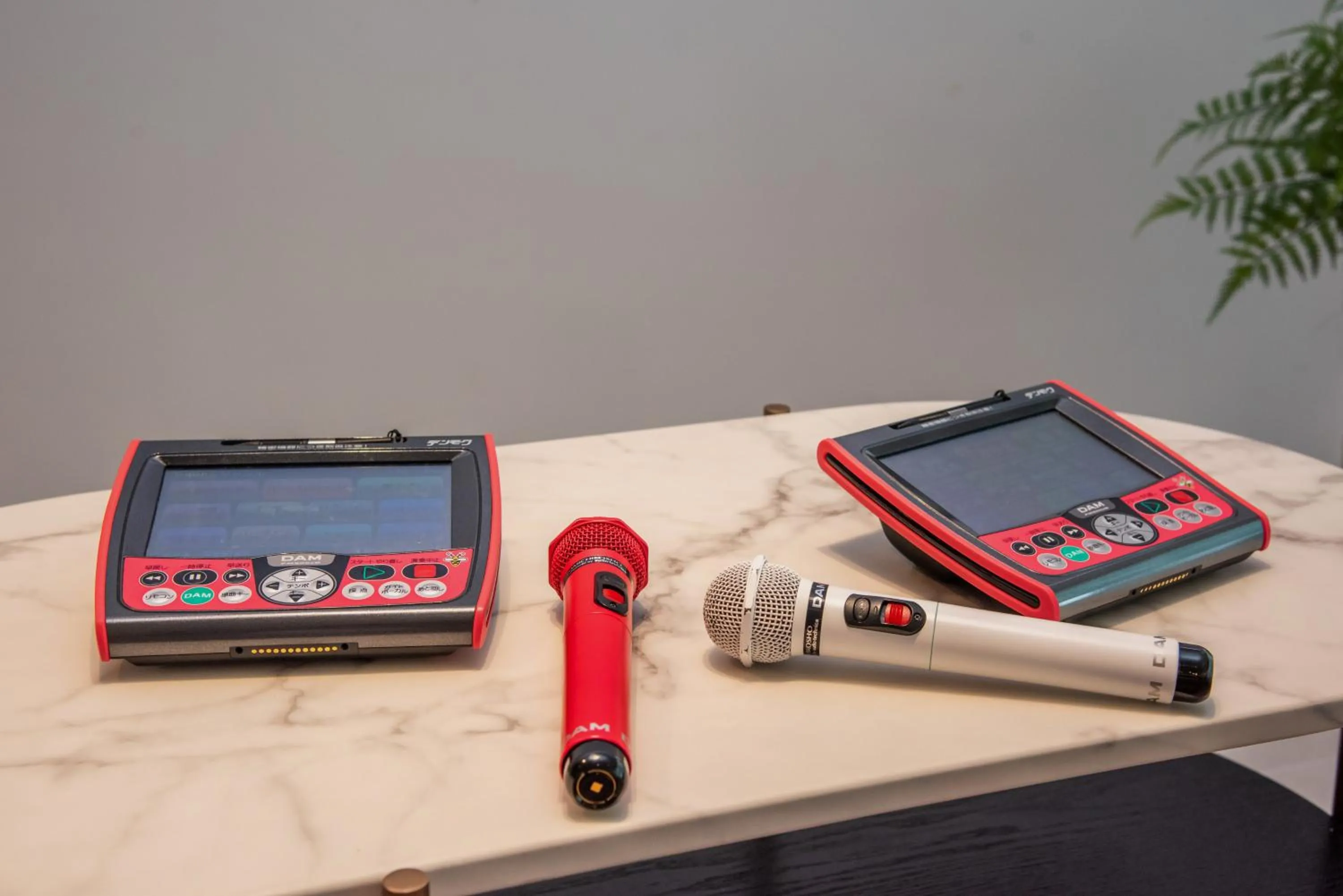 Karaoke in pool villa Sanrriott Okinawa Motobu