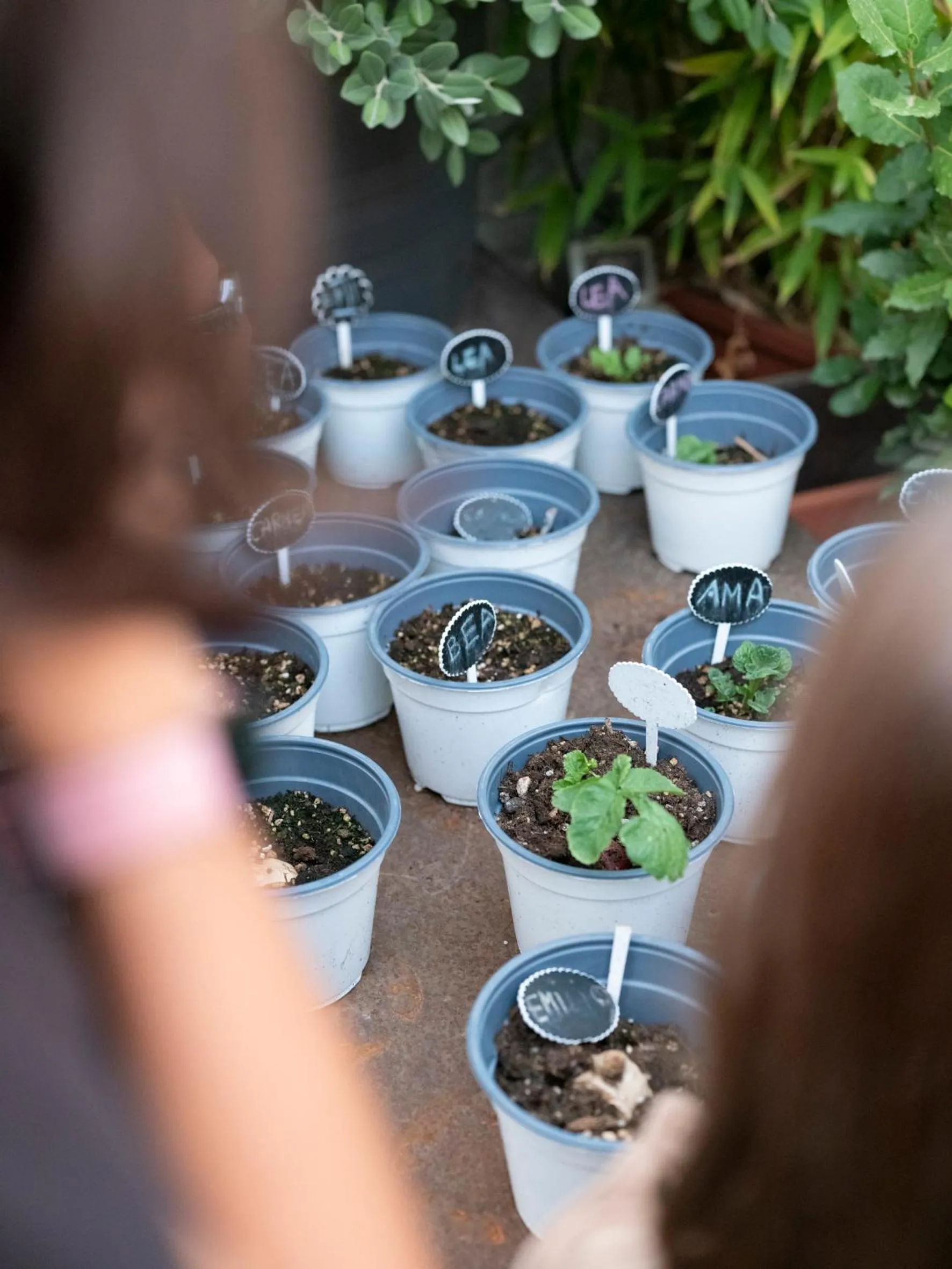 Activities in Imago Plus Hotel