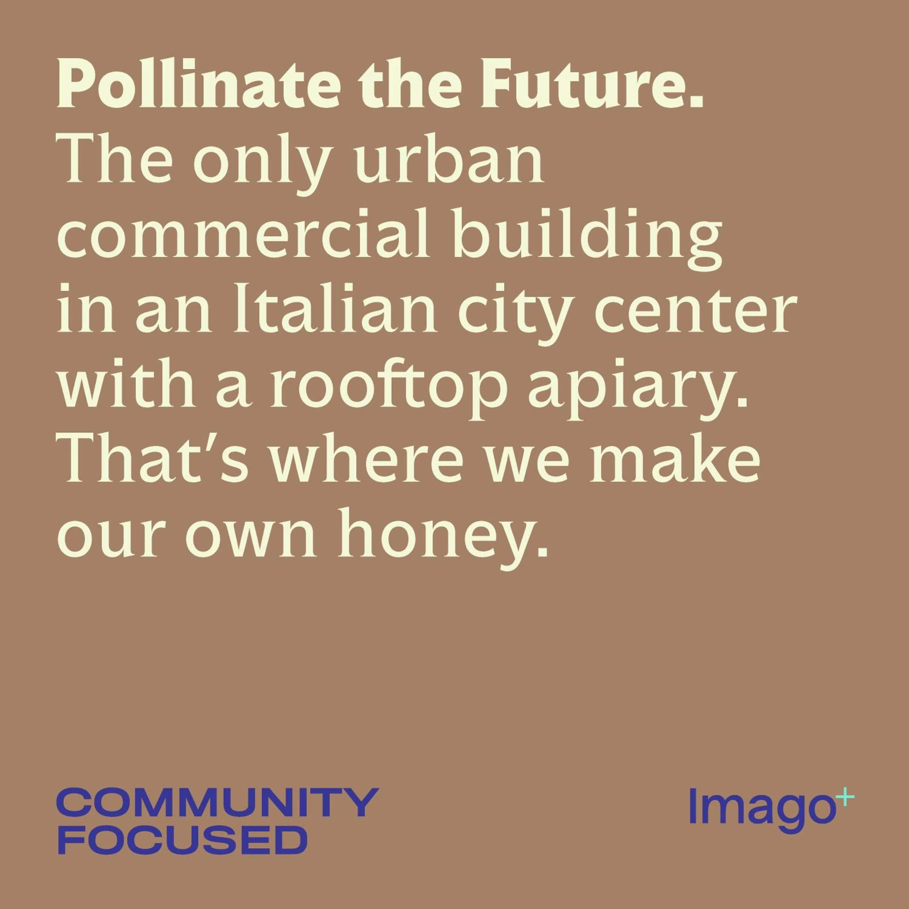 Staff in Imago Plus Hotel