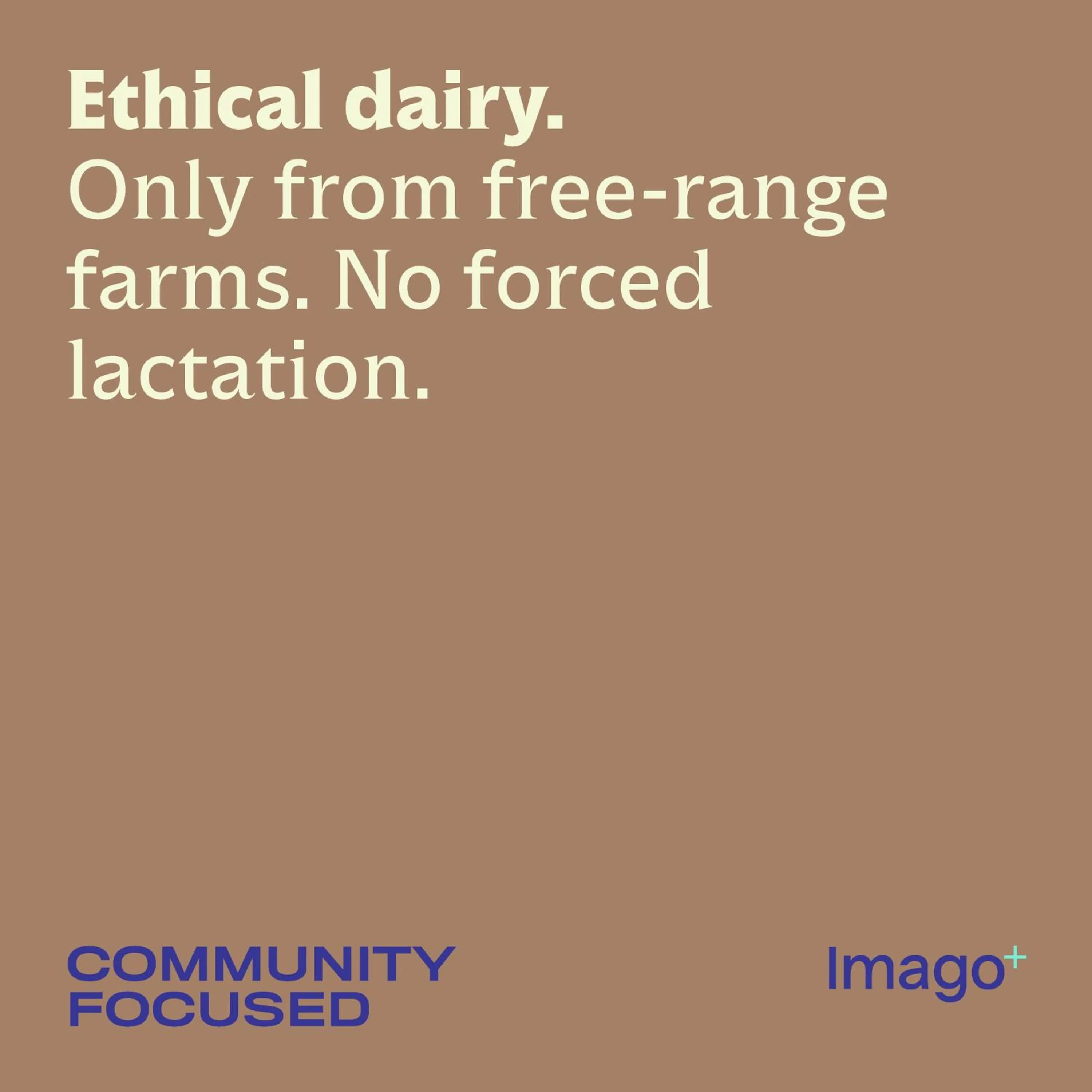 Staff in Imago Plus Hotel