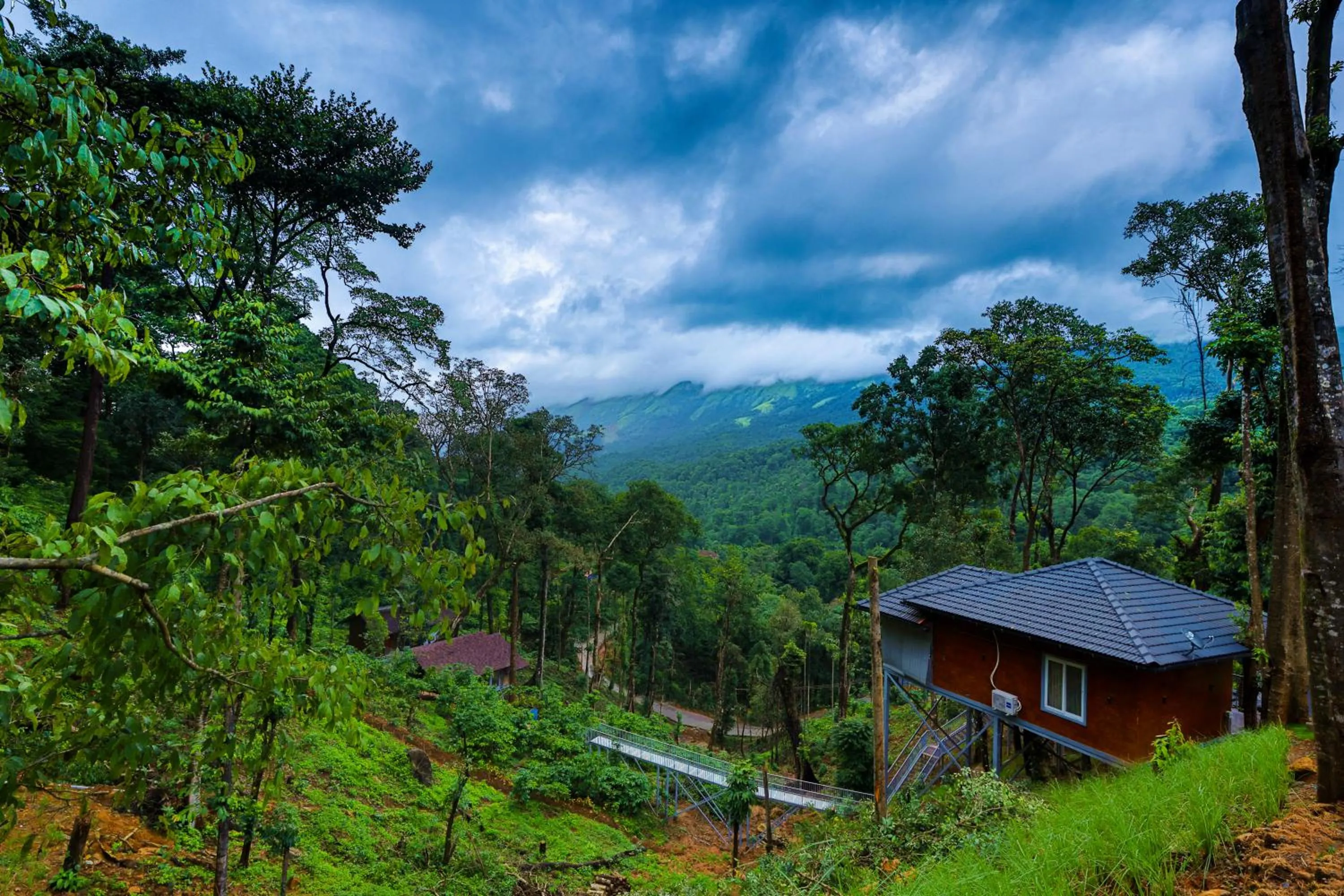 Natural landscape in Silent Brook Resort - Coorg