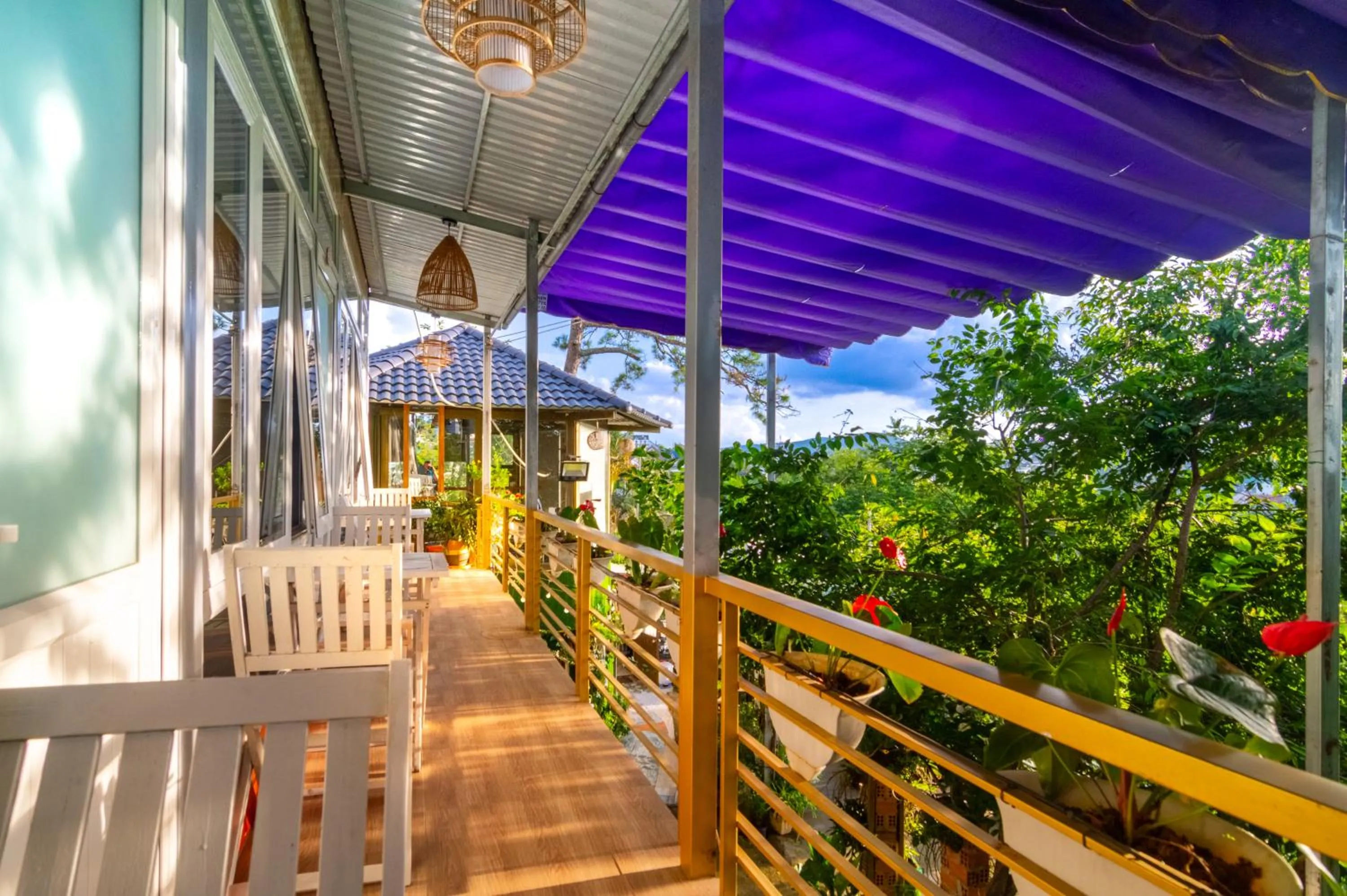 Balcony/Terrace in Robins Guesthouse