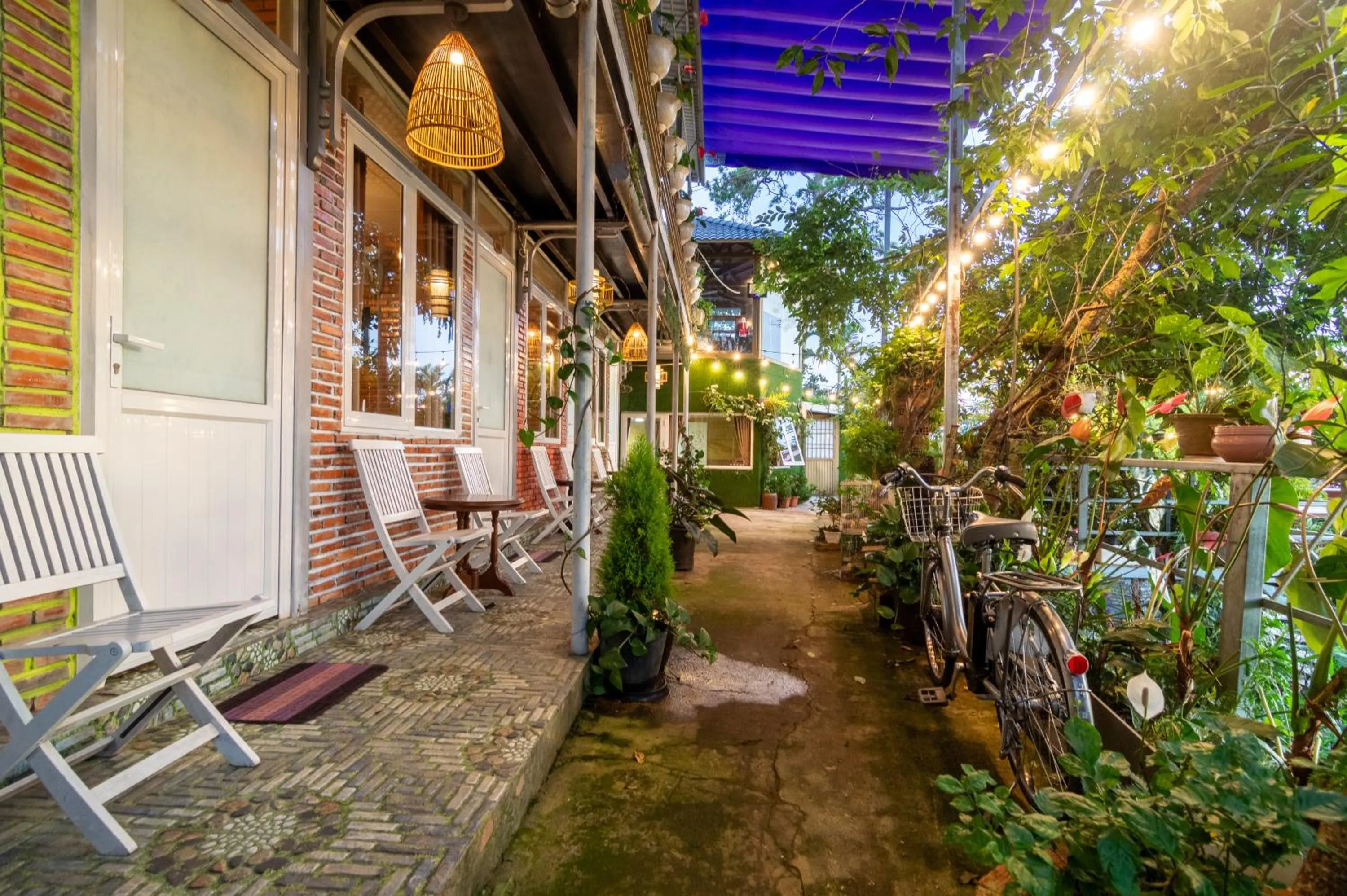 Property building in Robins Guesthouse