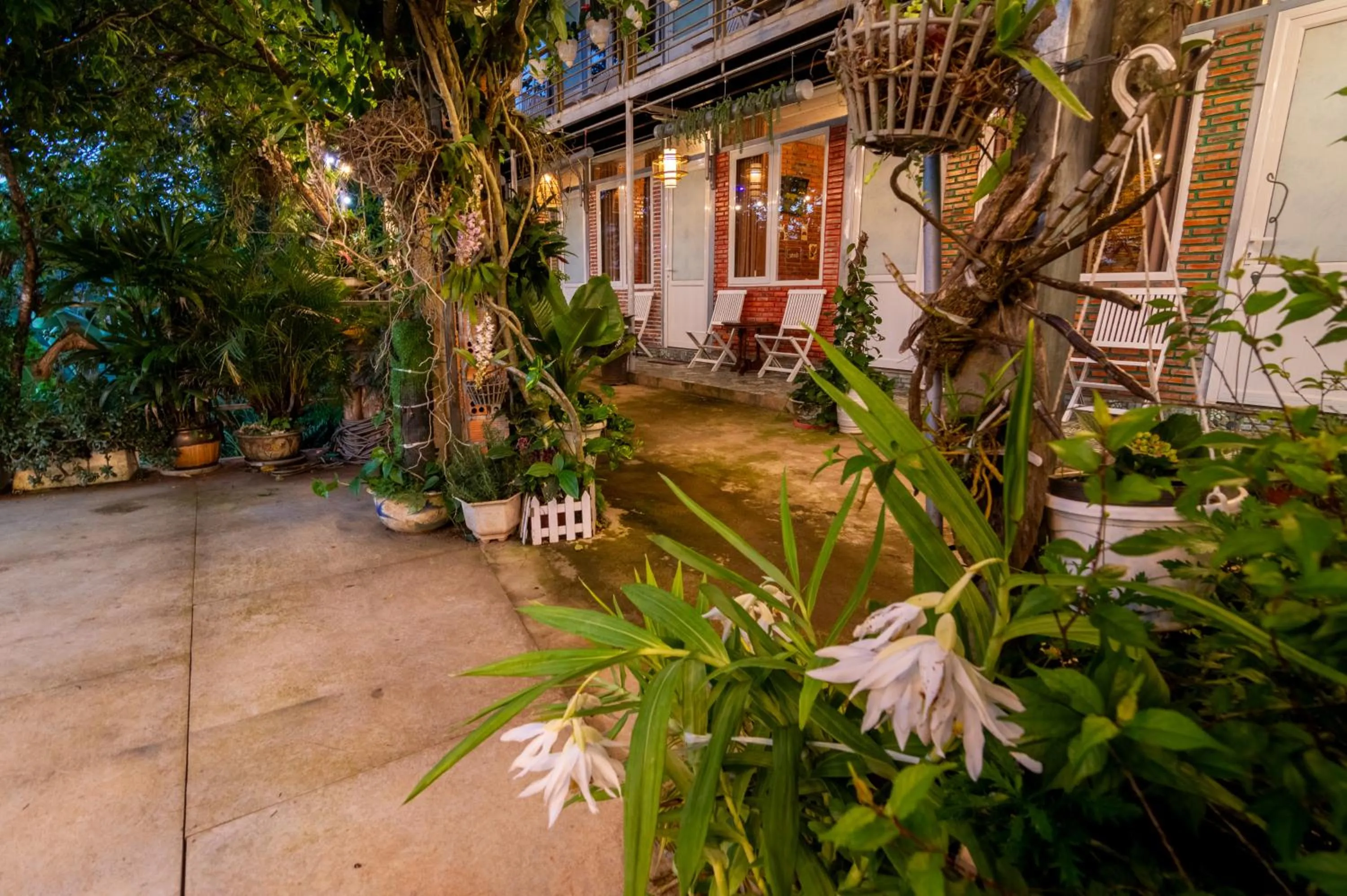 Property building in Robins Guesthouse