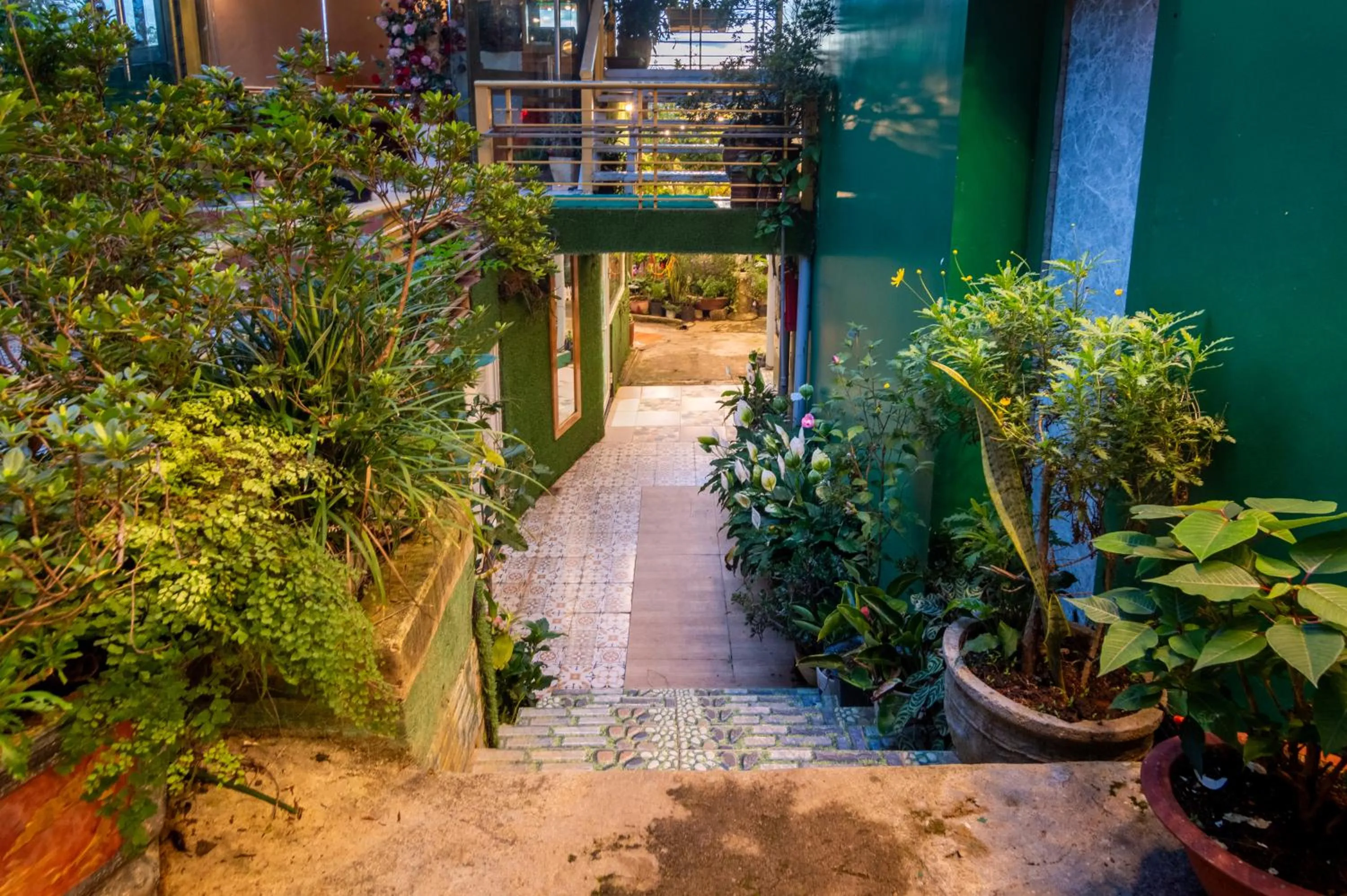 Property building in Robins Guesthouse