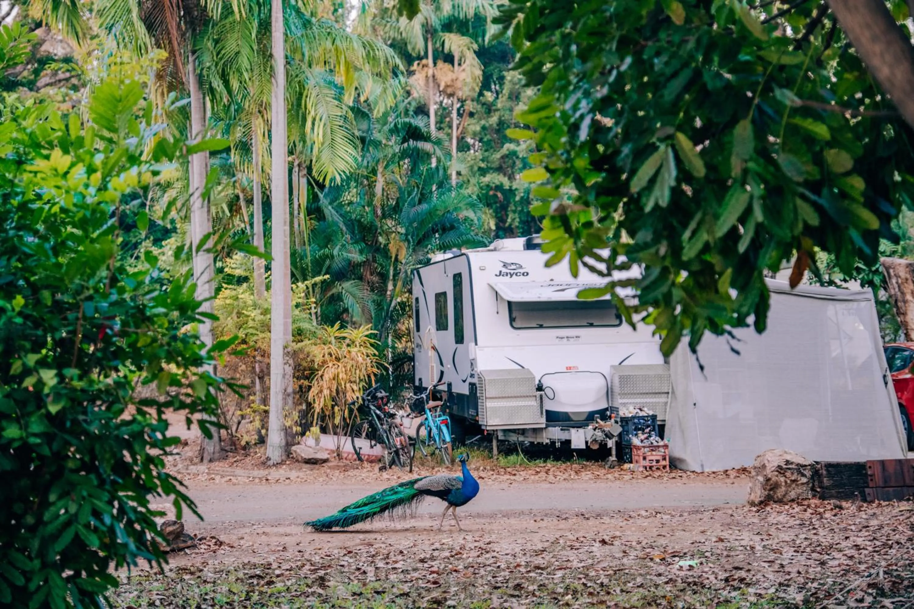 Natural landscape in BIG4 Howard Springs Holiday Park