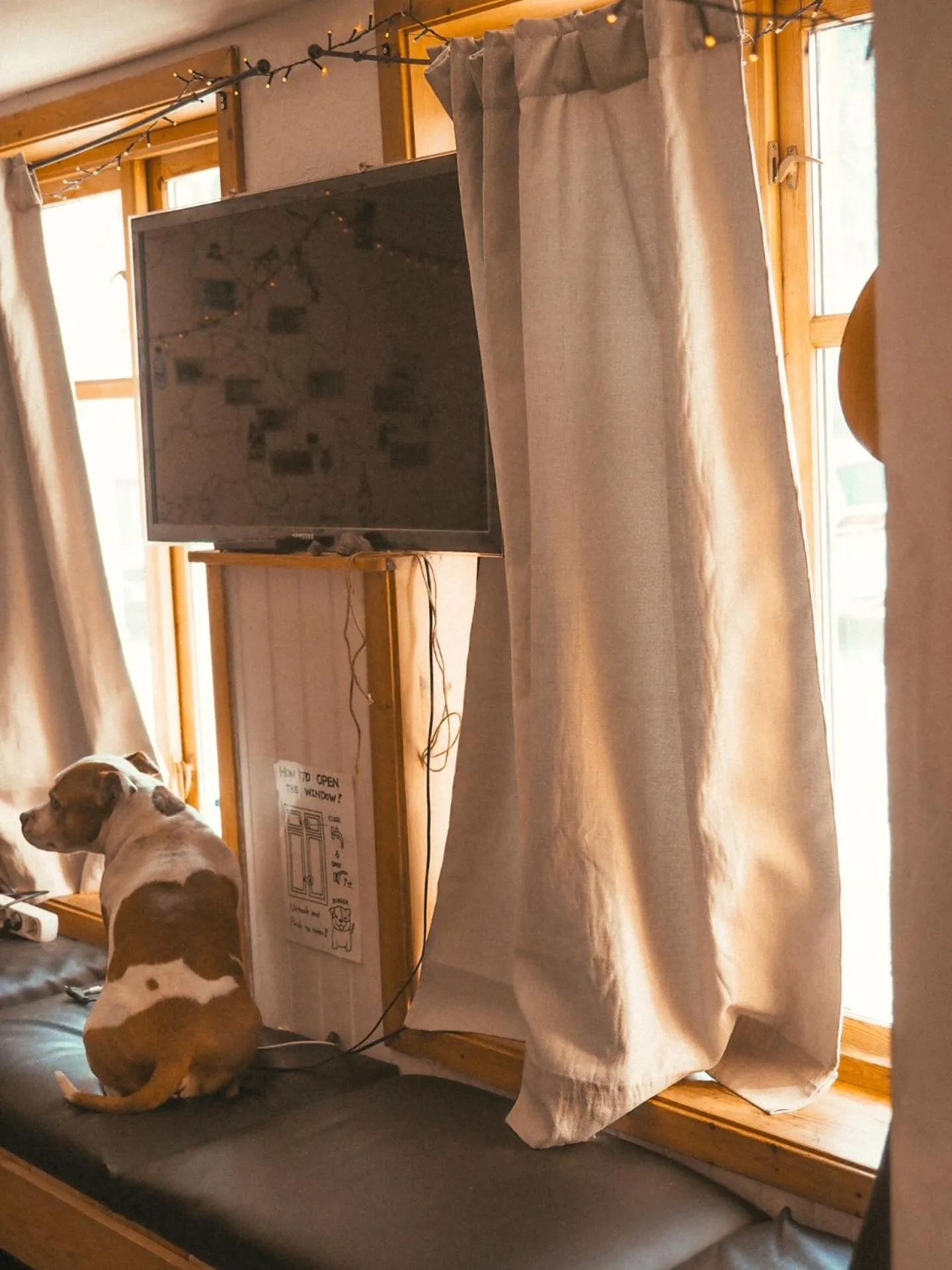 Living room, Bed in Tromso Activities Hostel