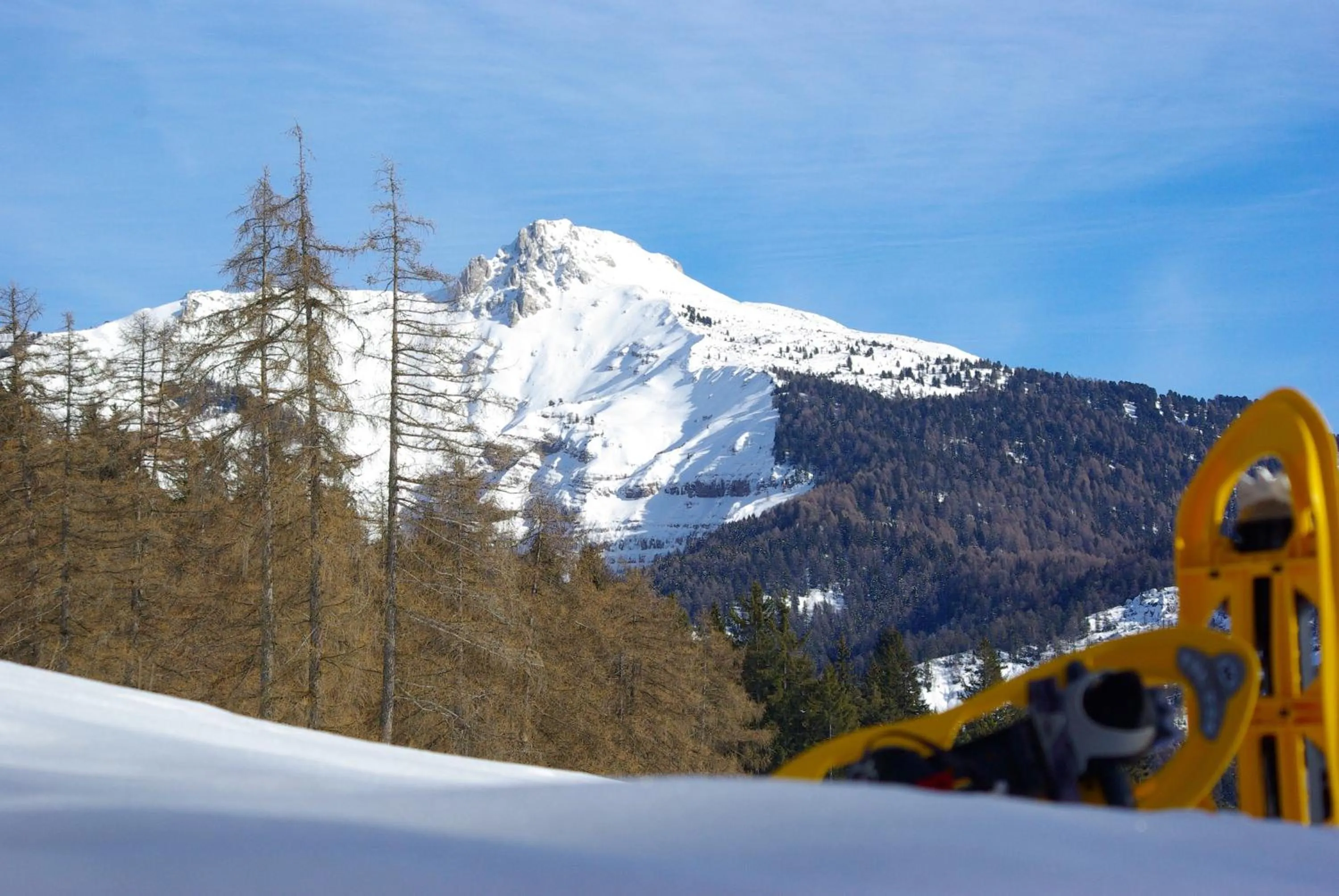 Hiking in Gasthof zur Krone