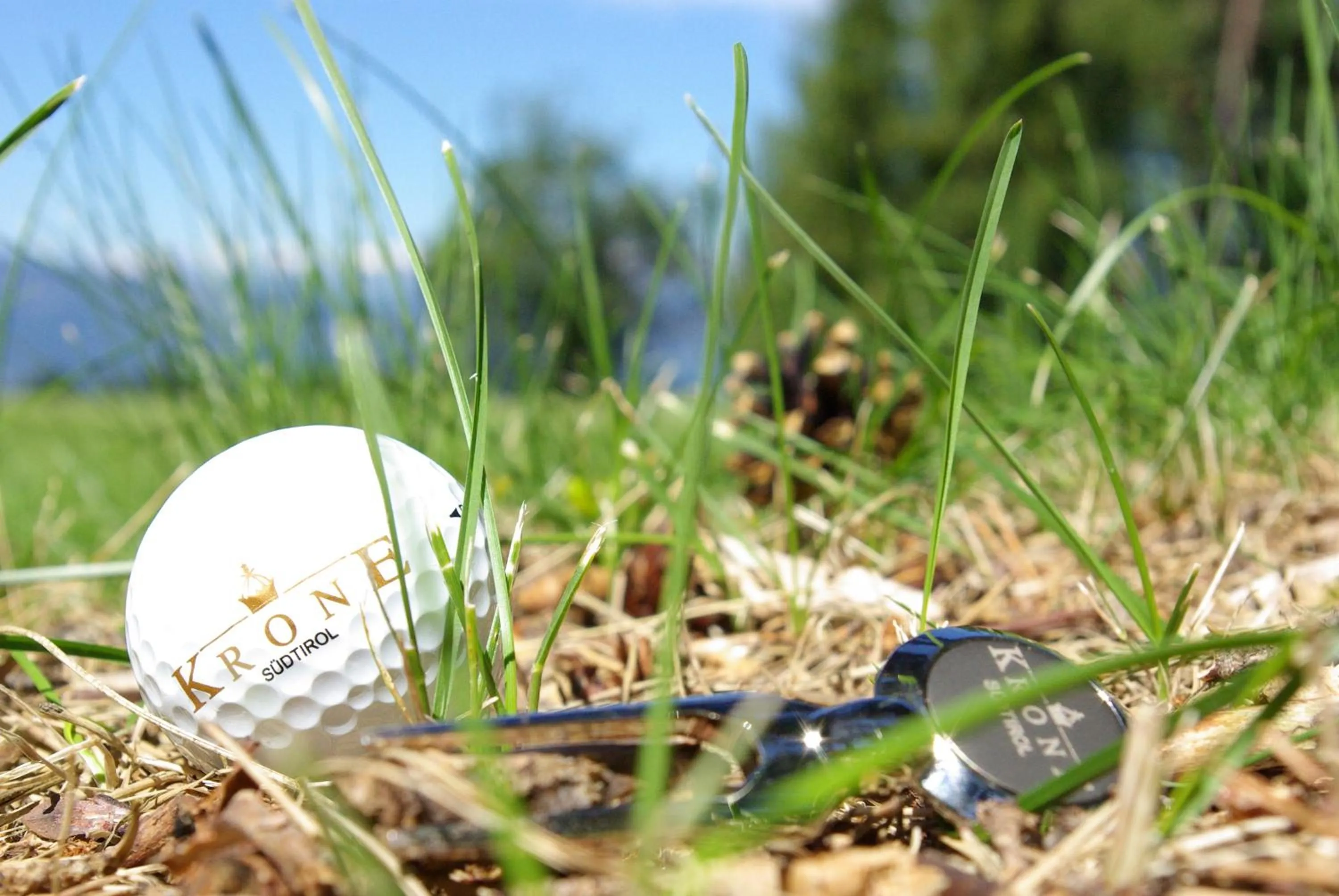 Spring in Gasthof zur Krone