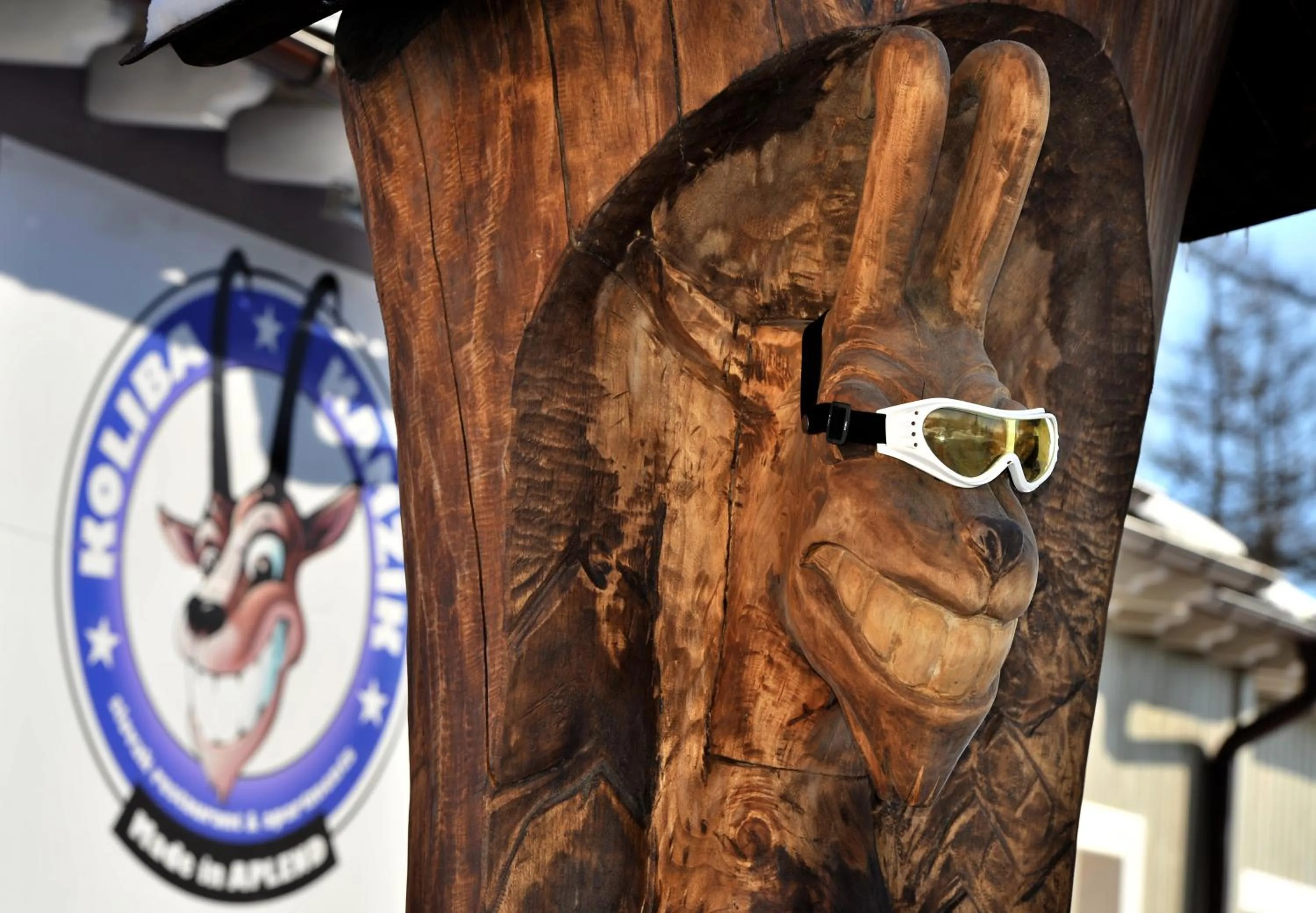 Facade/entrance in APLEND Koliba Kamzík