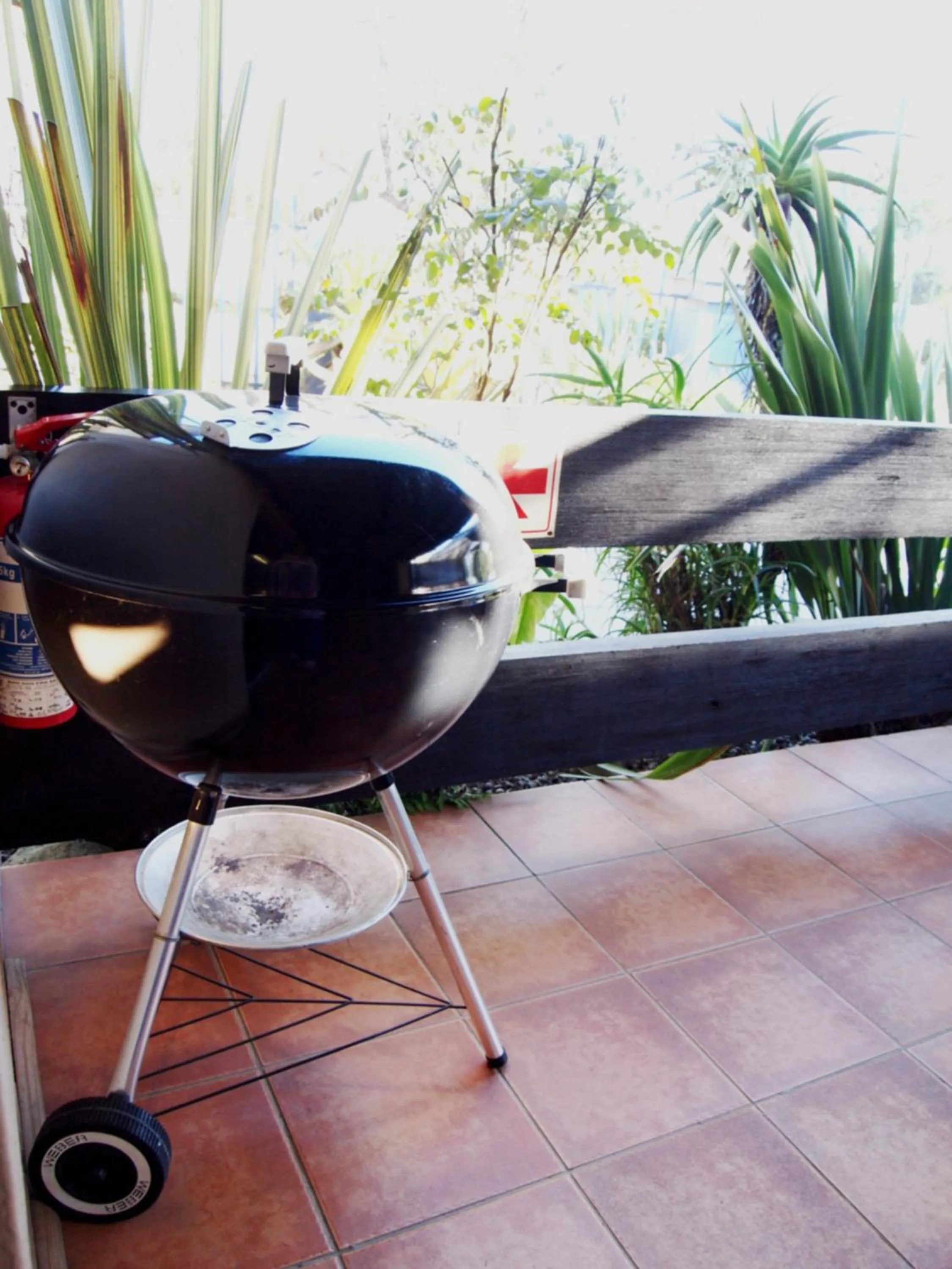 Patio in Havana Nights