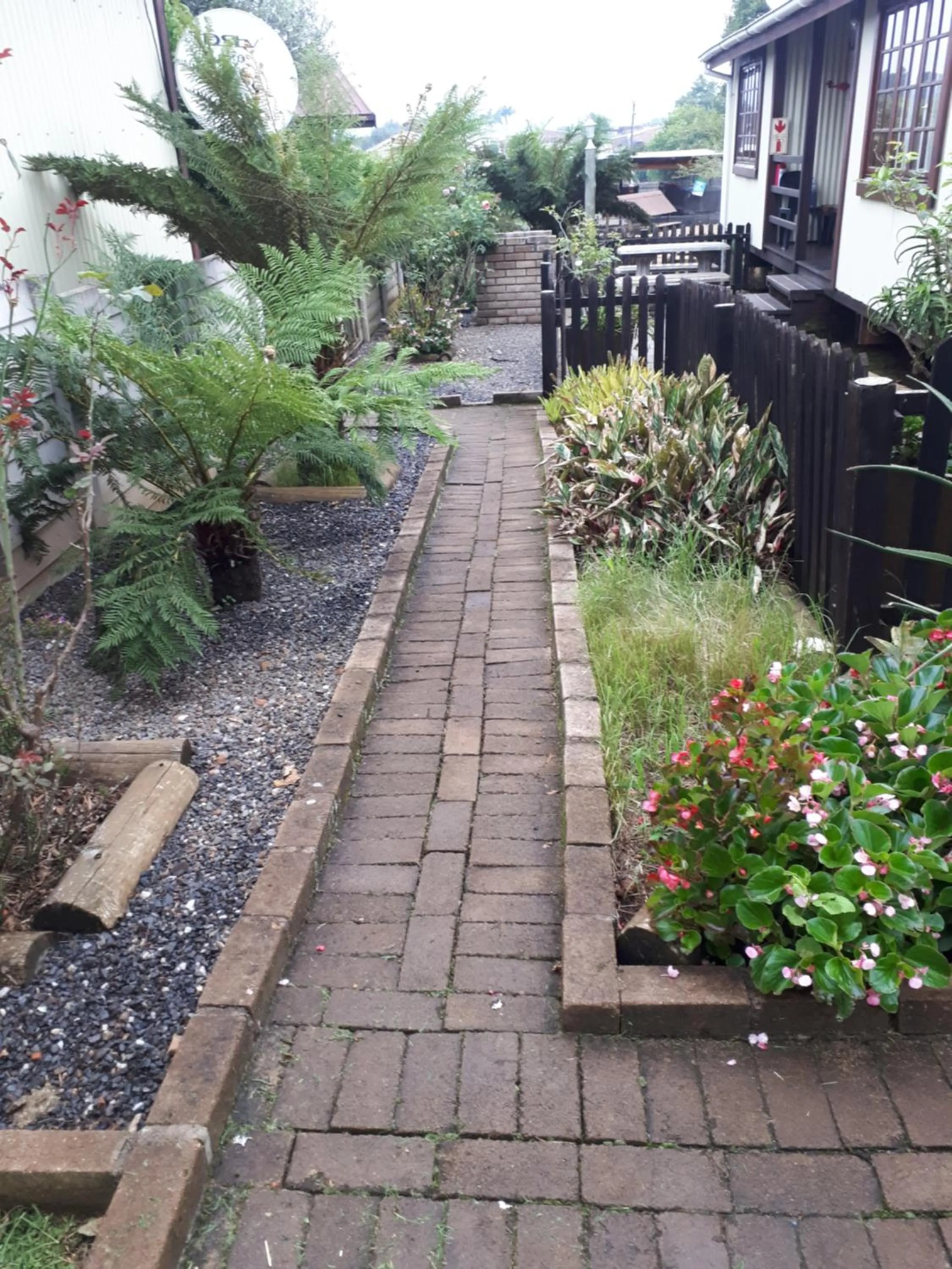 Garden in Havana Nights