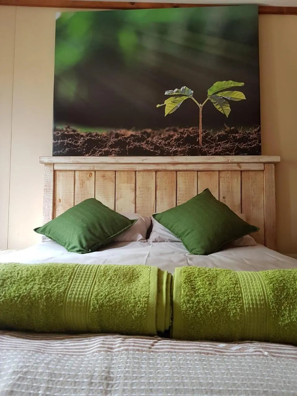 Bed in Havana Nights