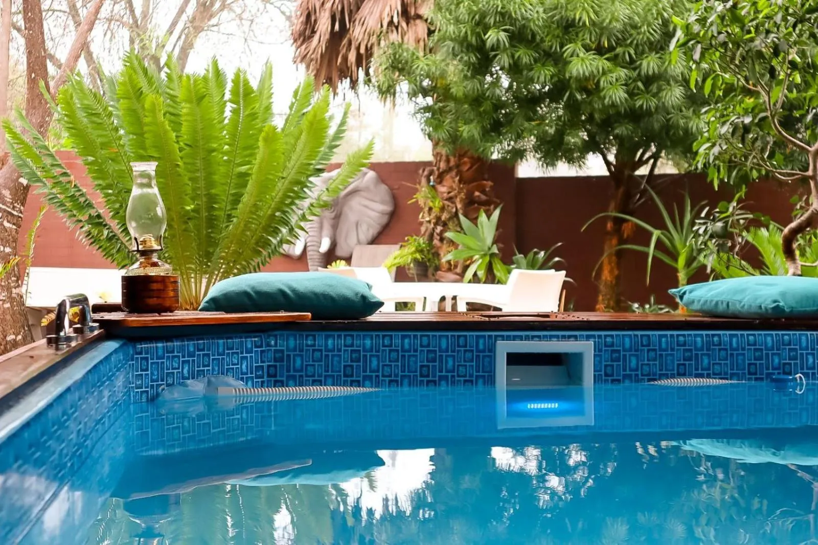 Garden view in Havana Nights