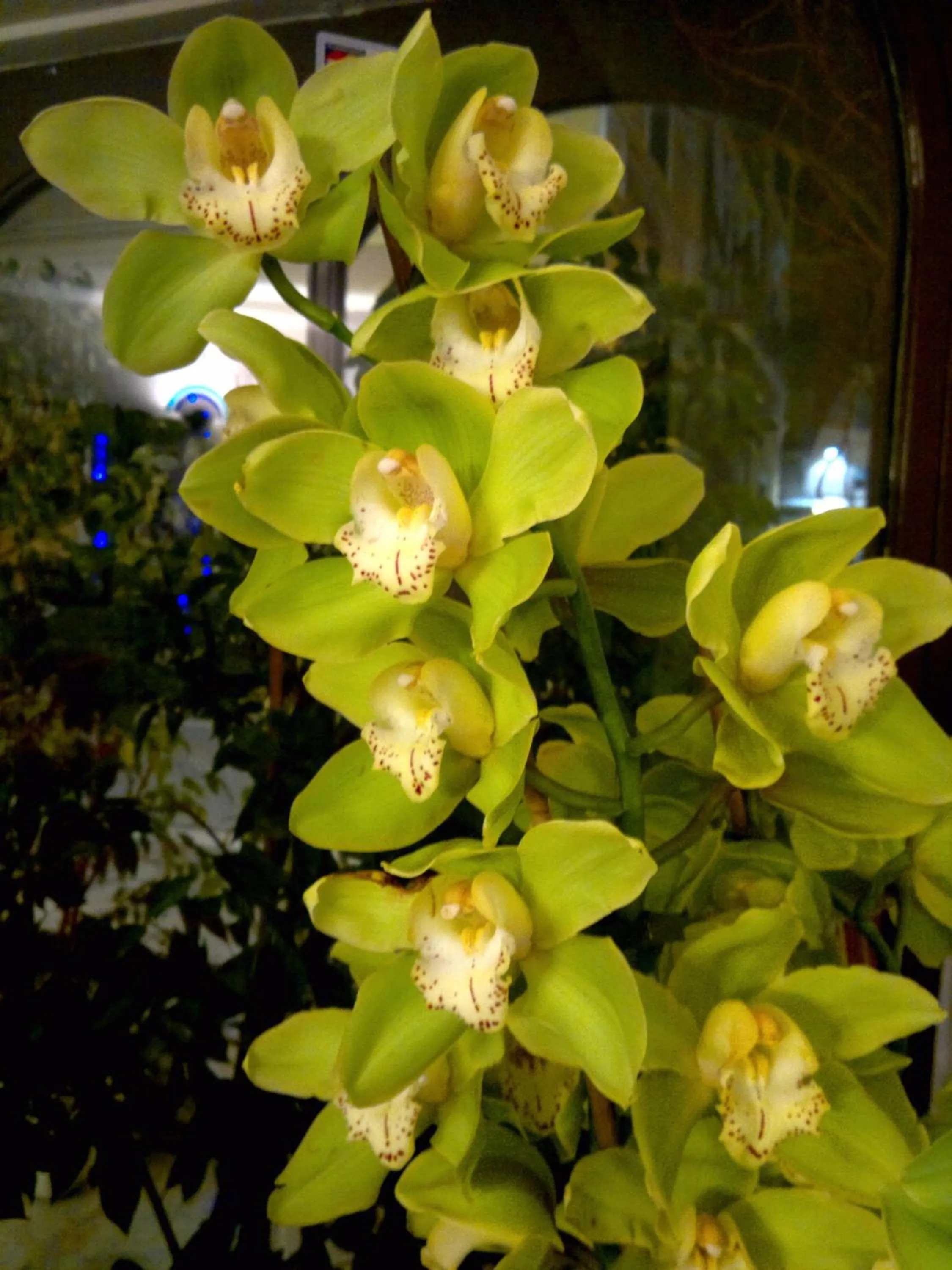 Other in Hotel Palagi