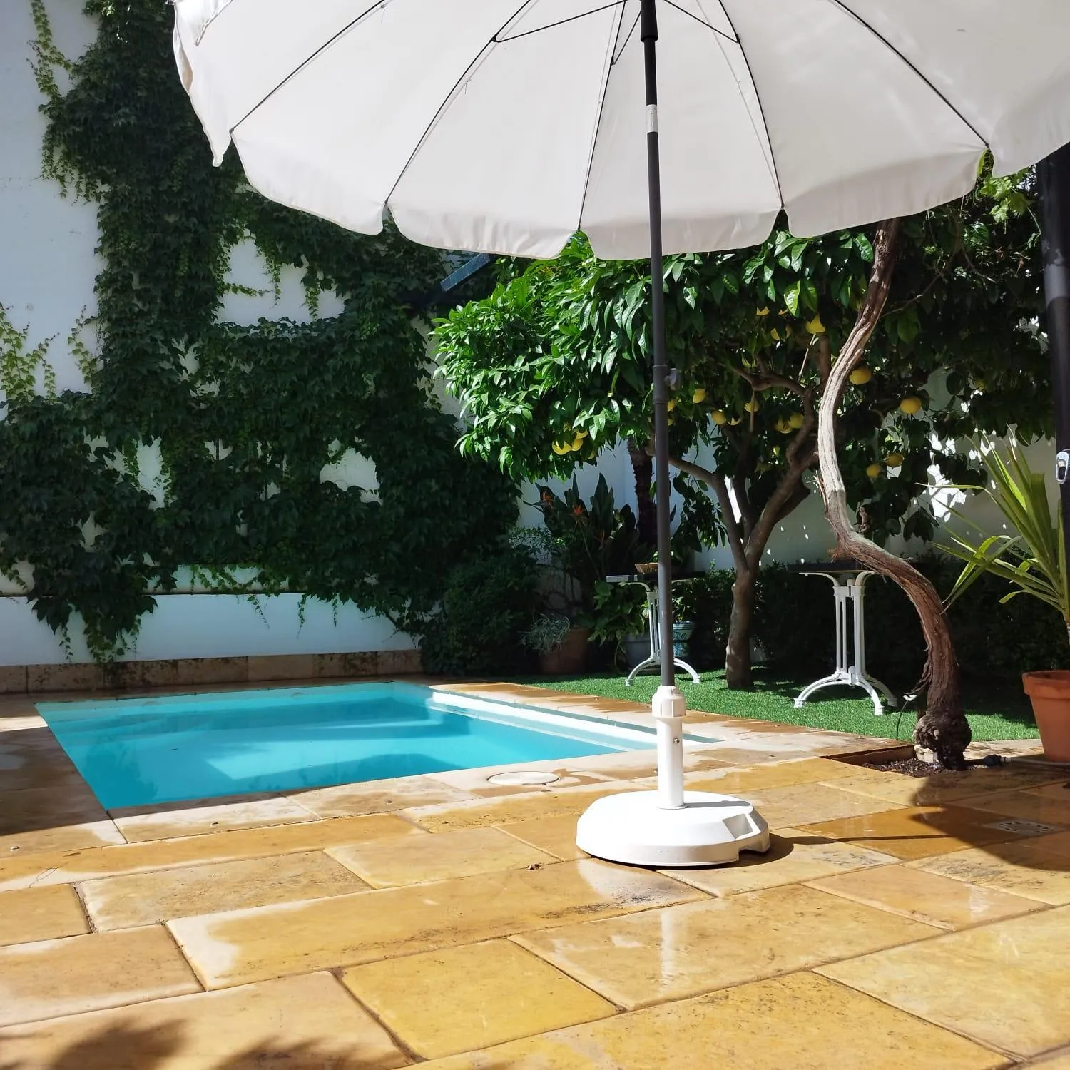 Garden in Suite Comares