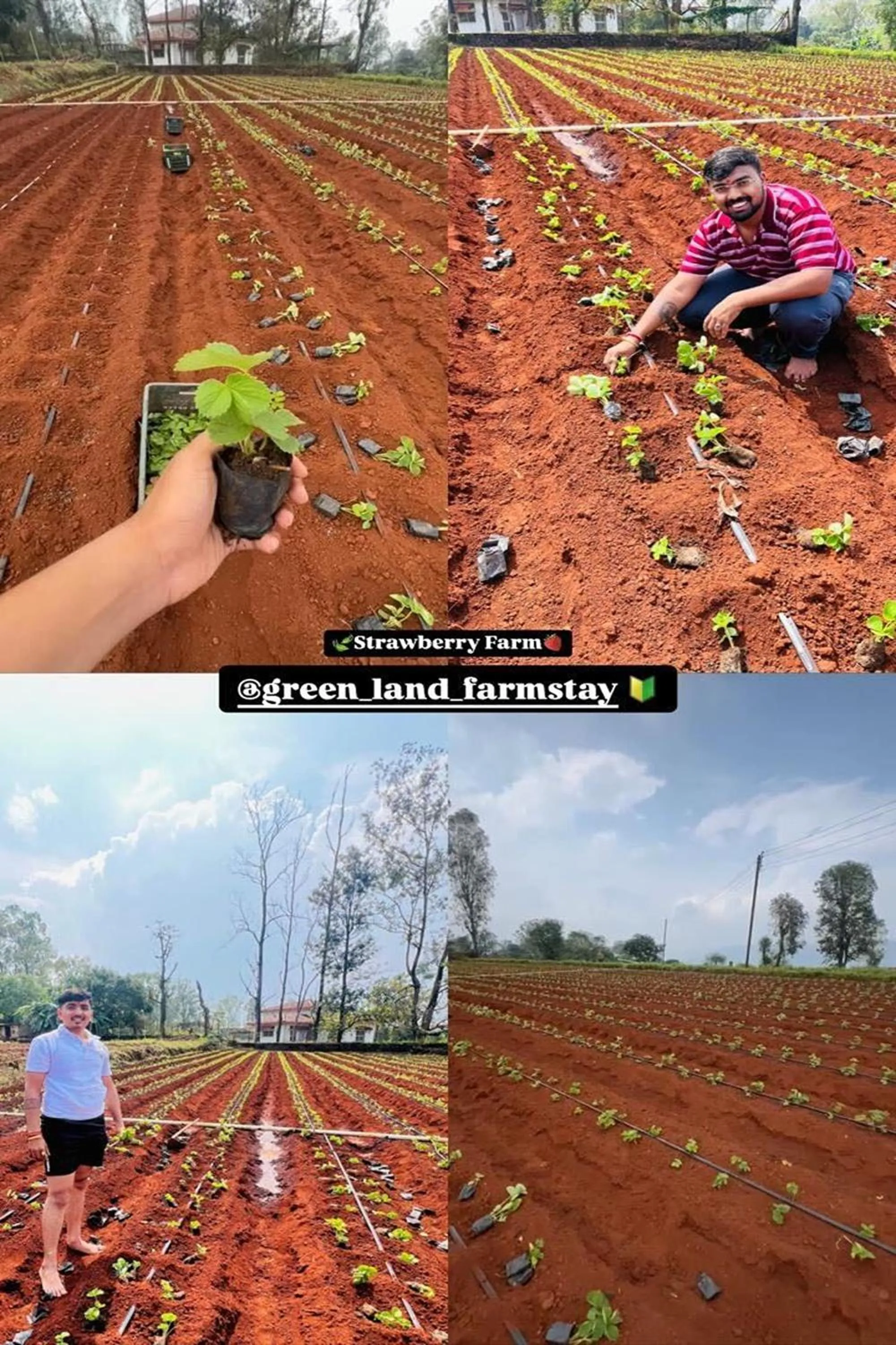 group of guests in Greenland Stay