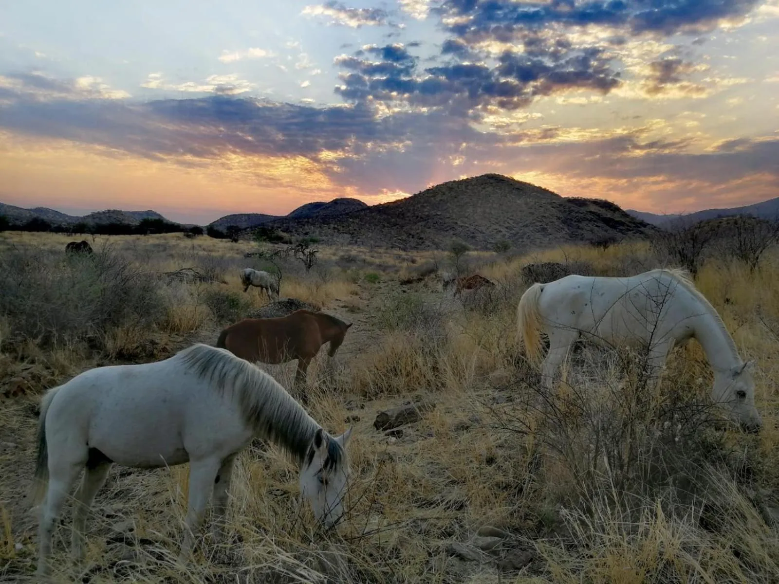 Horse-riding in Casa Blanca Boutique Hotel