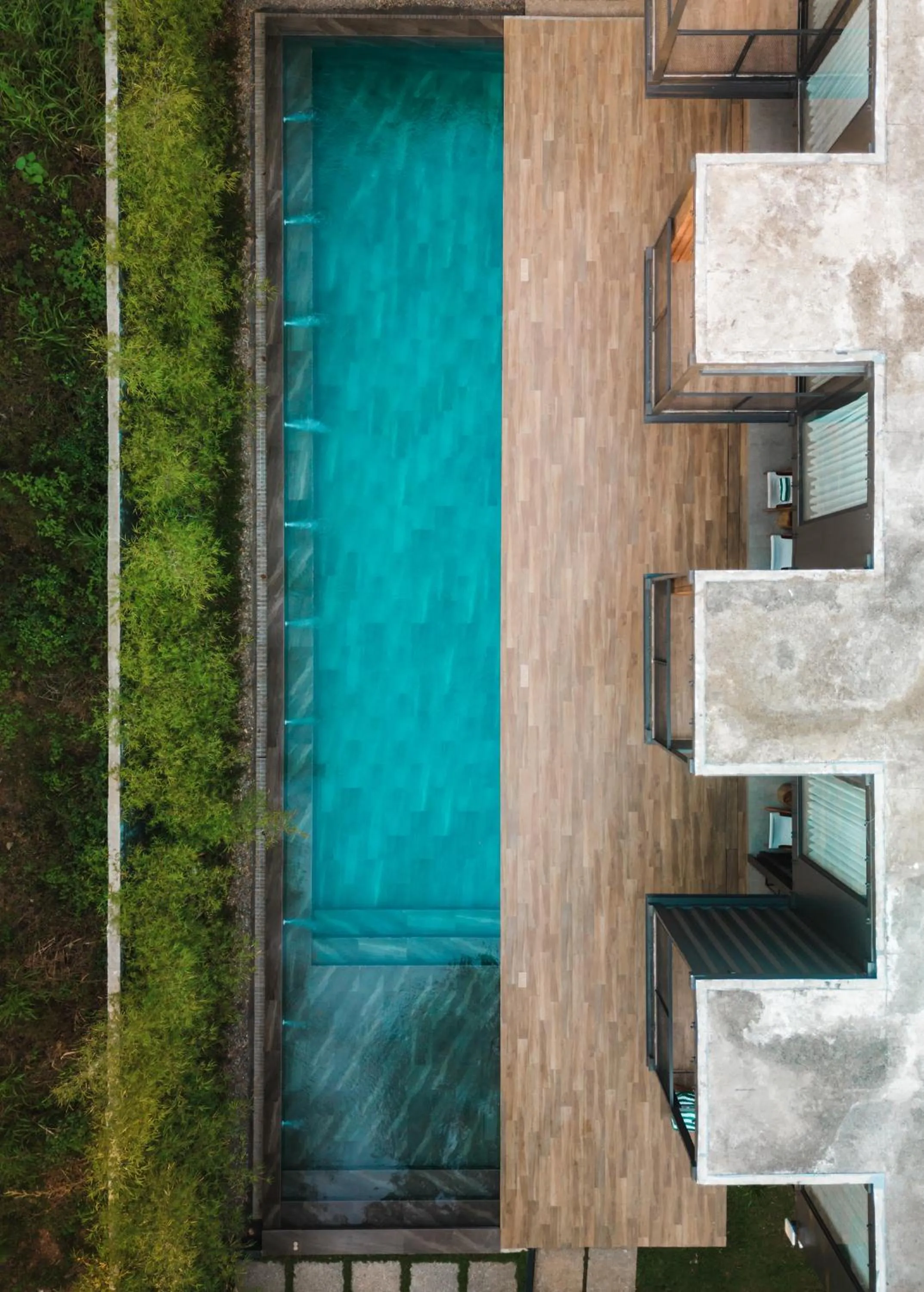 The Funny Lion - Coron