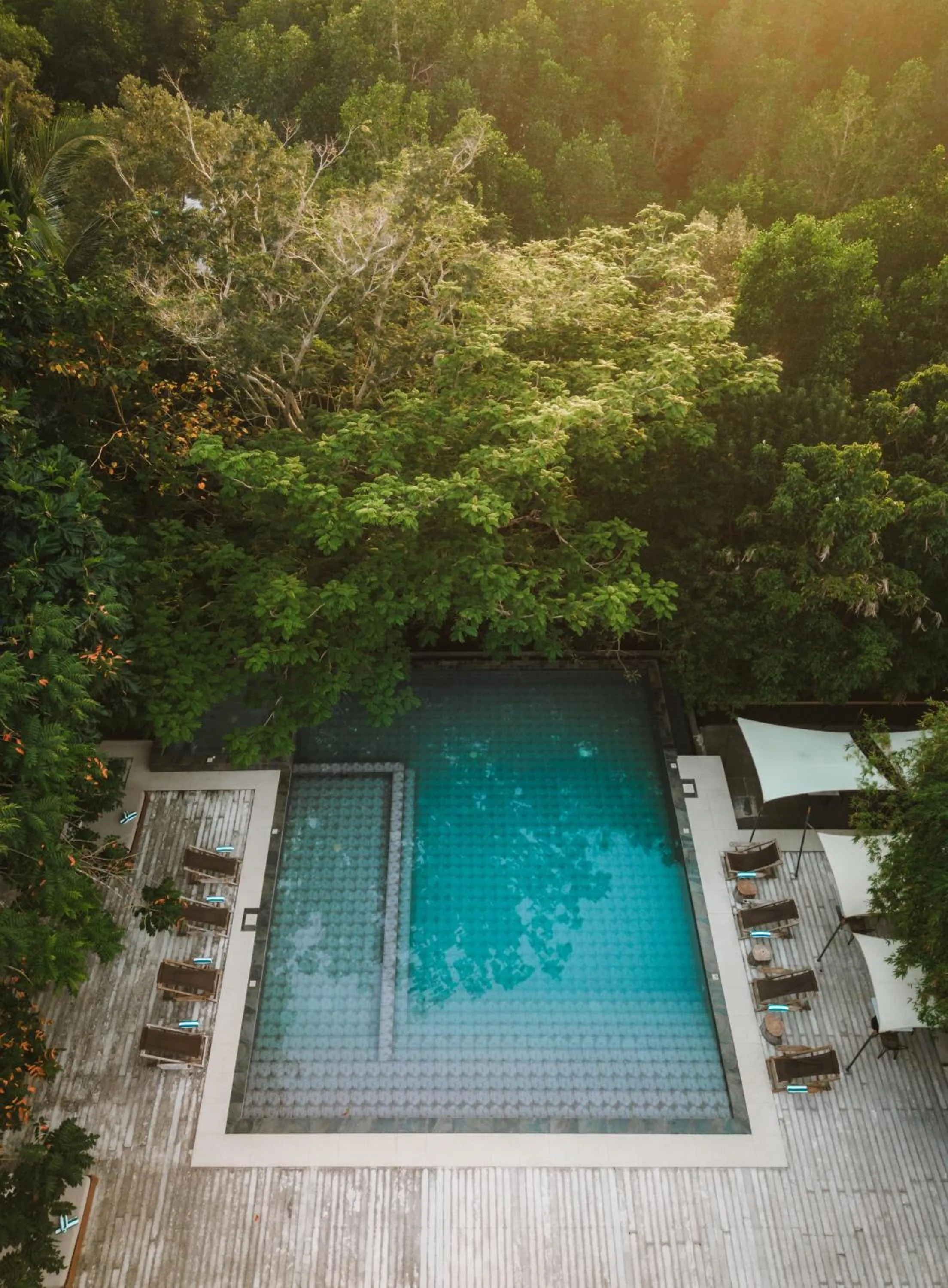 The Funny Lion - Coron