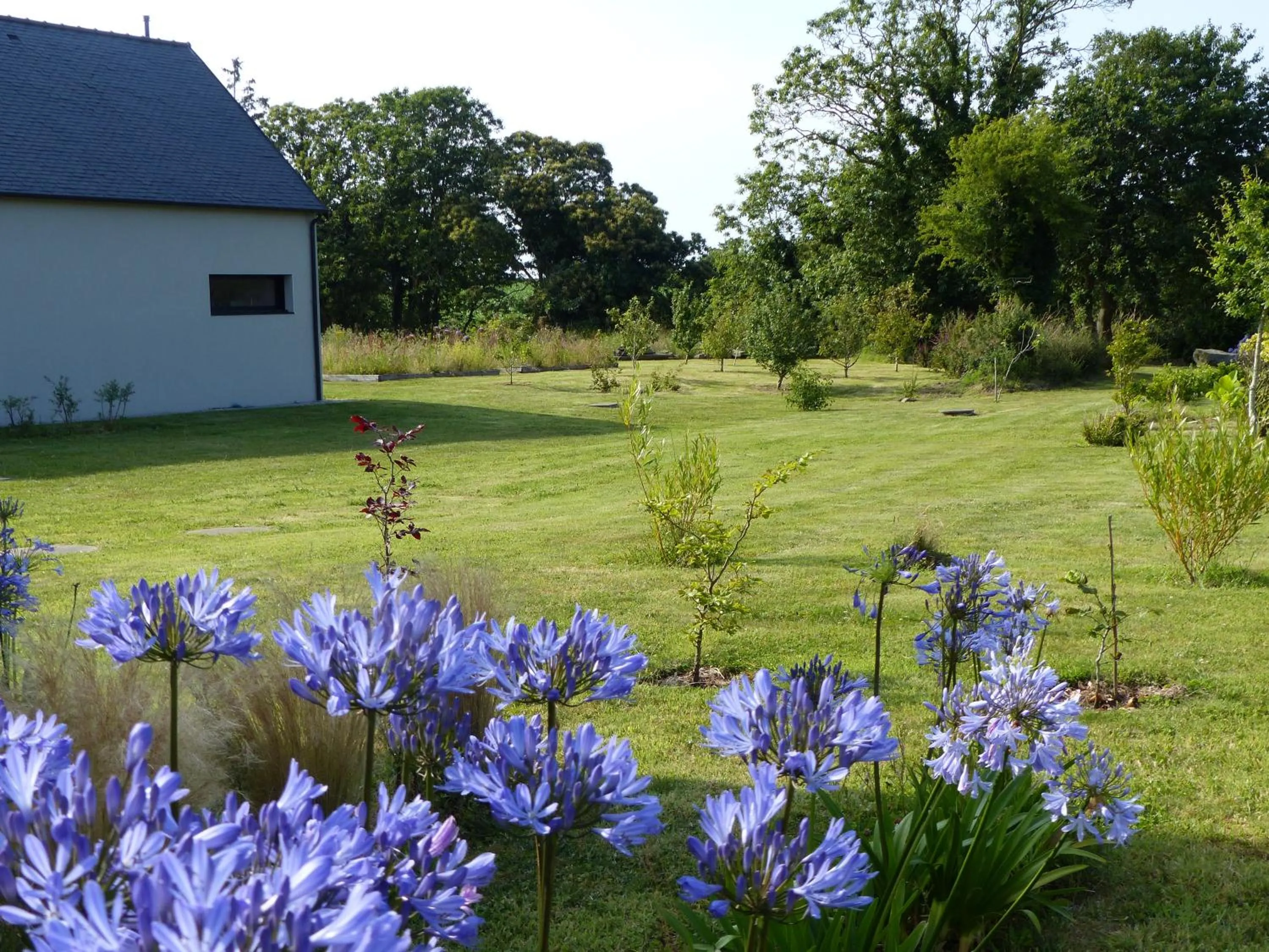 Garden in Les Chambres d'hôtes de Kérasquer