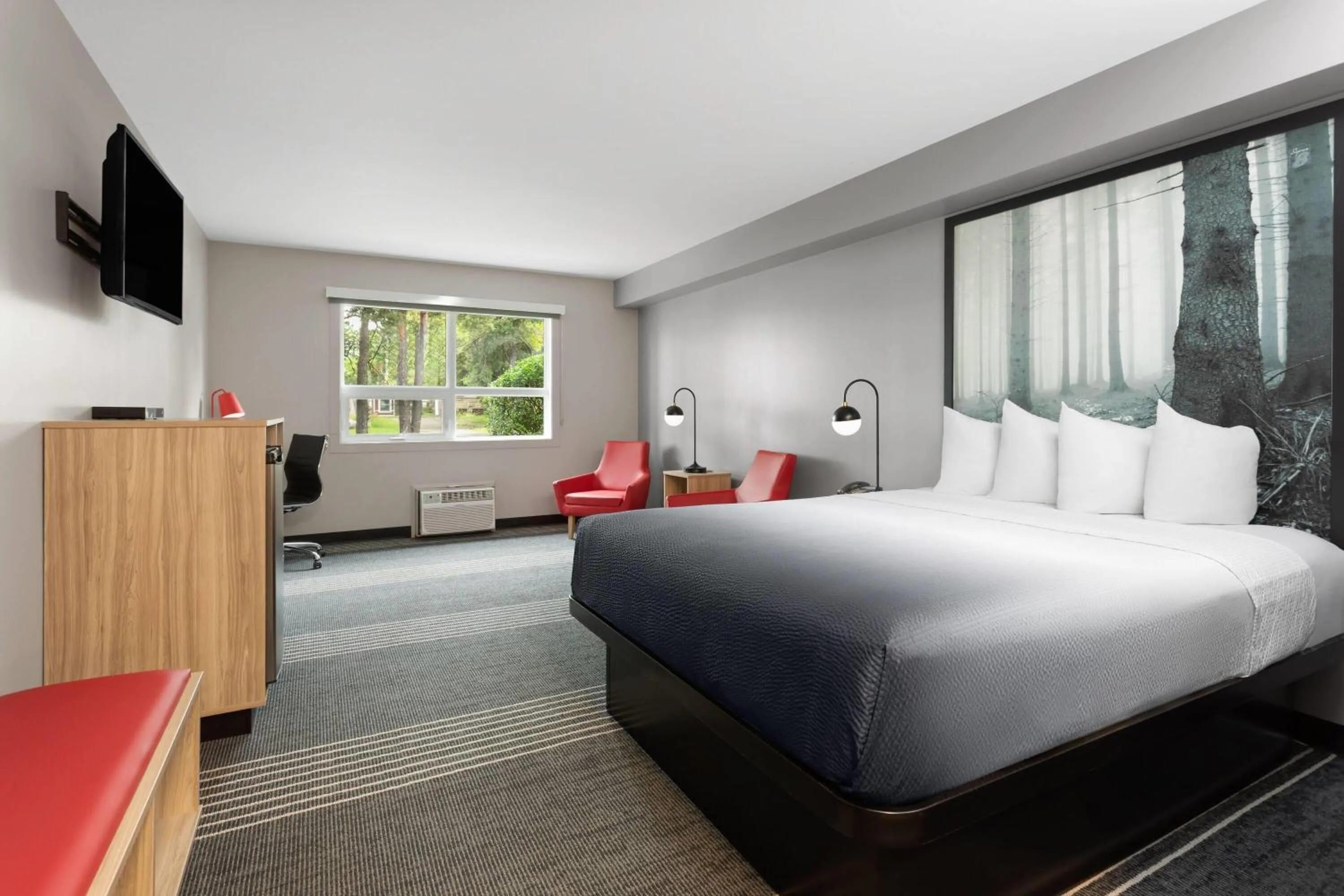 Photo of the whole room, Bed in Super 8 by Wyndham Sault Ste Marie On