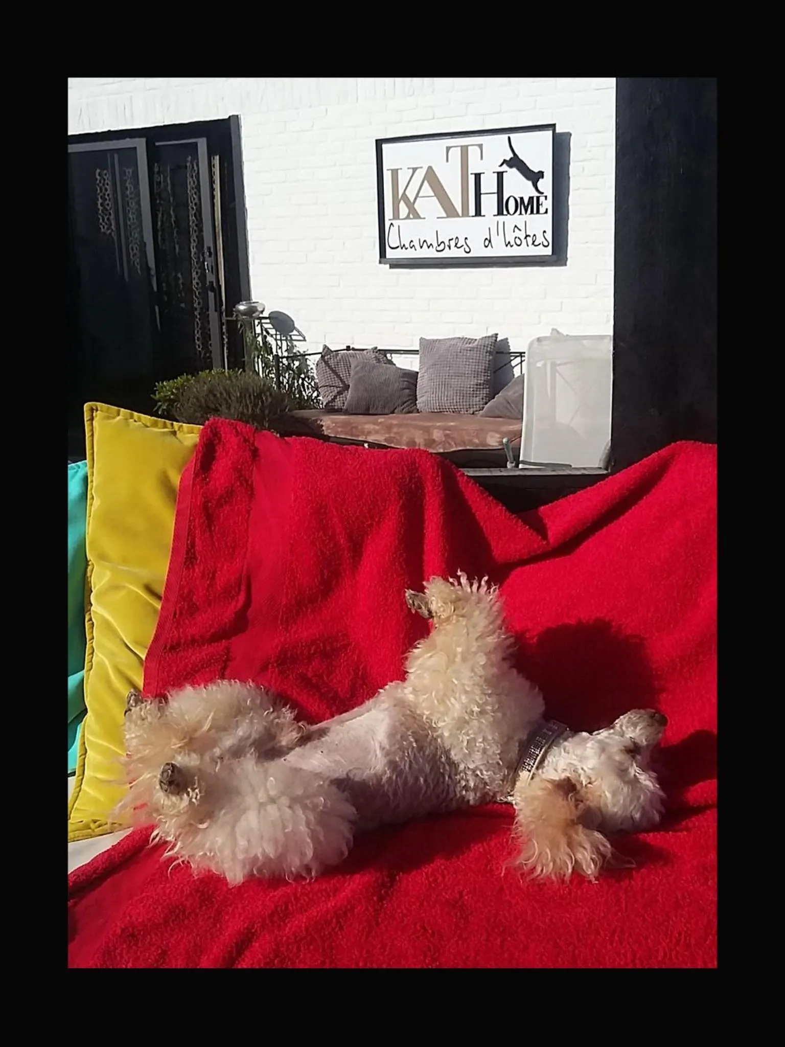 Balcony/Terrace in Guesthouse Kathome