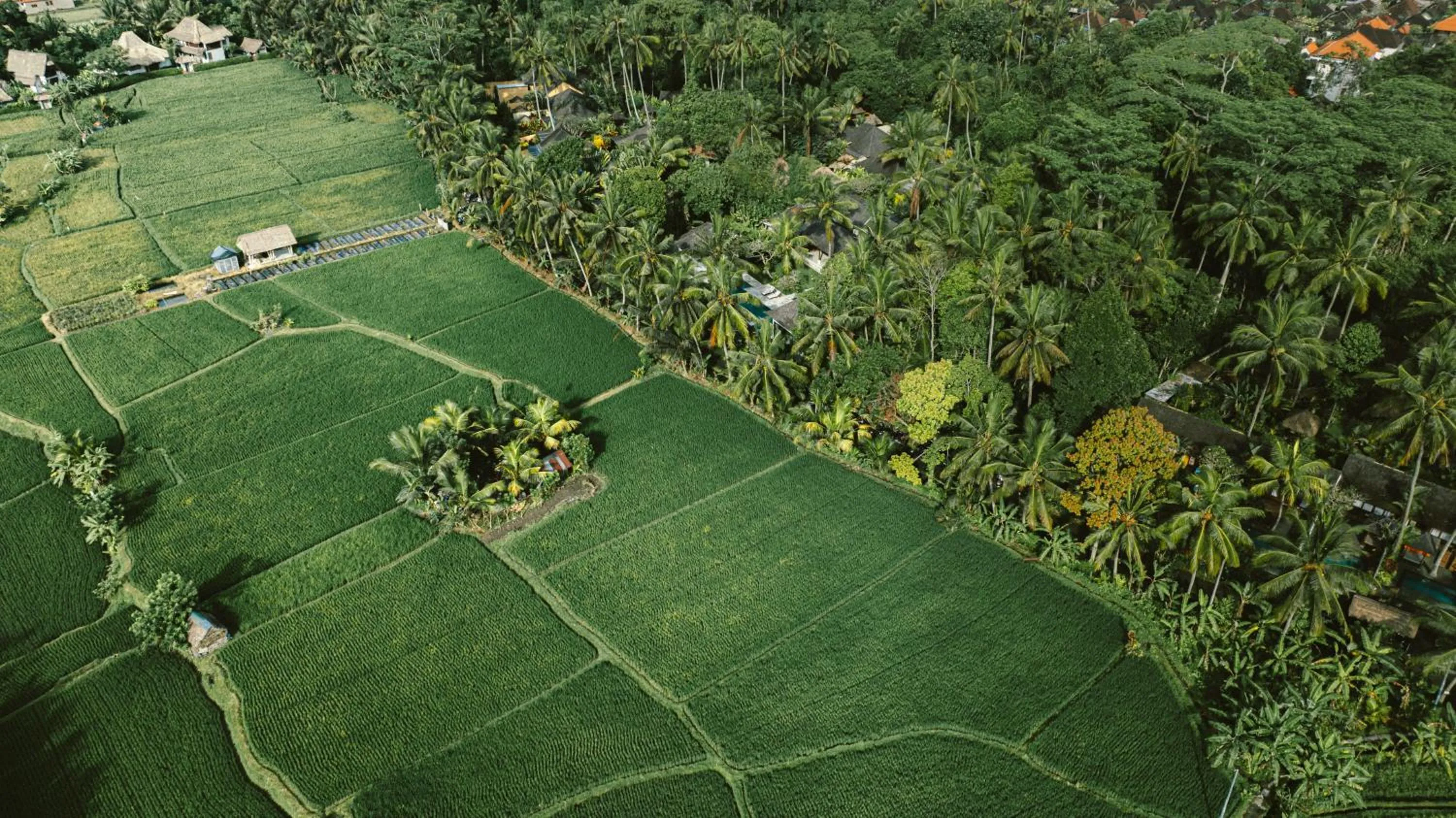 Natural landscape in Samkhya Villas - Free 1x Floating Breakfast or Minibar