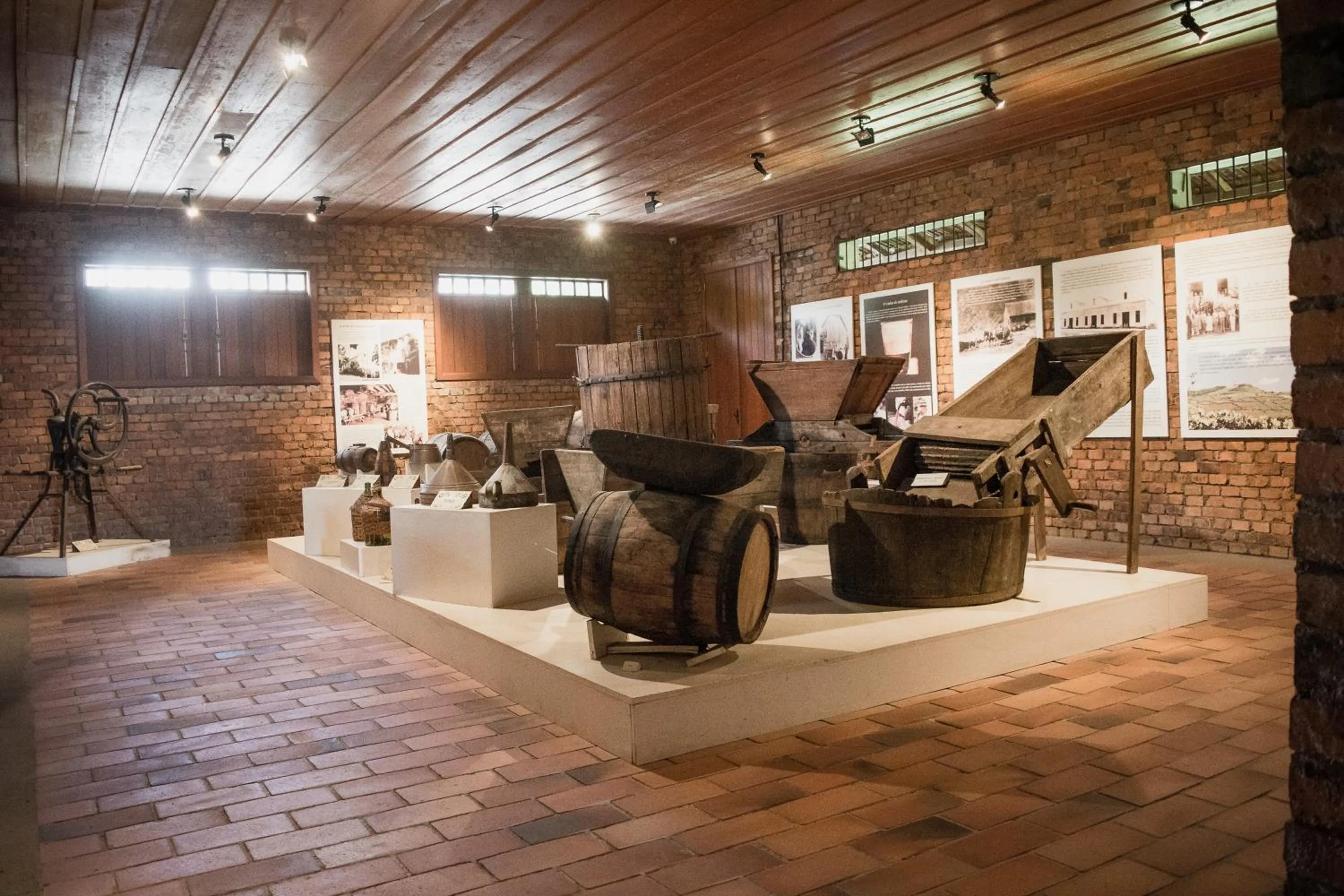 Entertainment in Hotel Villa Michelon