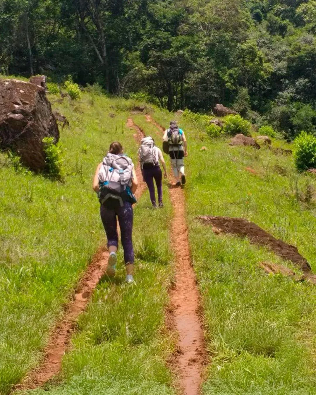 Hiking in Hotel Villa Michelon