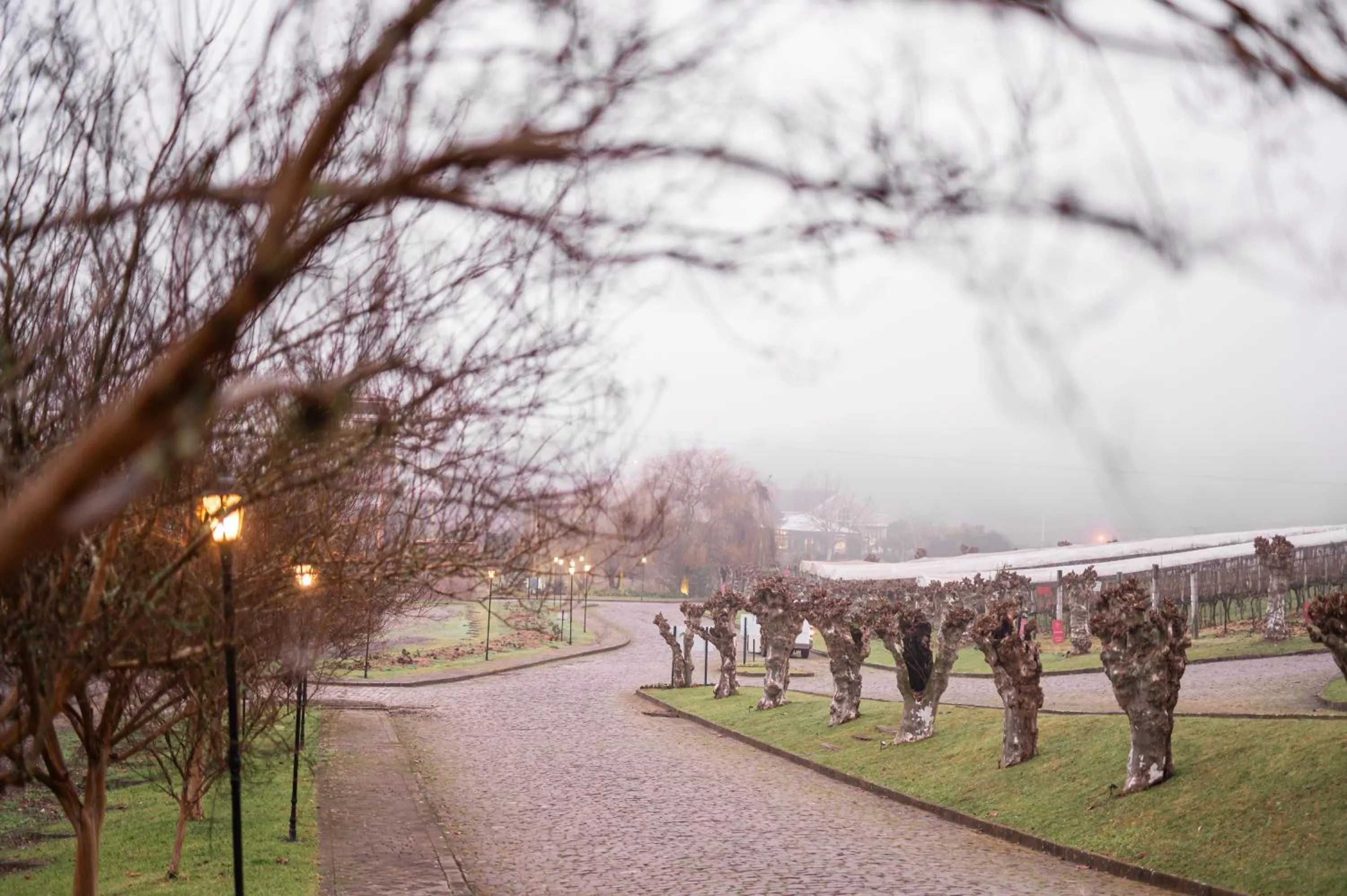 Garden in Hotel Villa Michelon