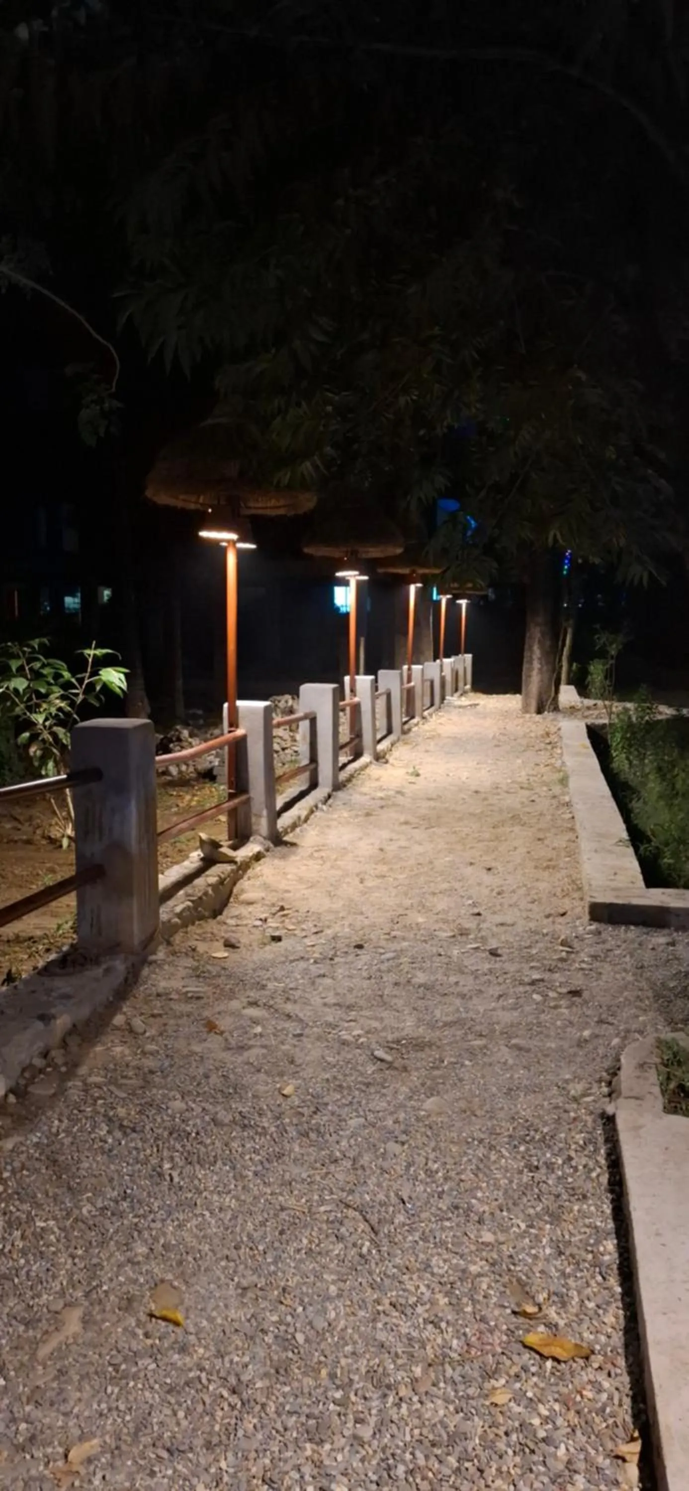 Garden in River View Jungle Camp