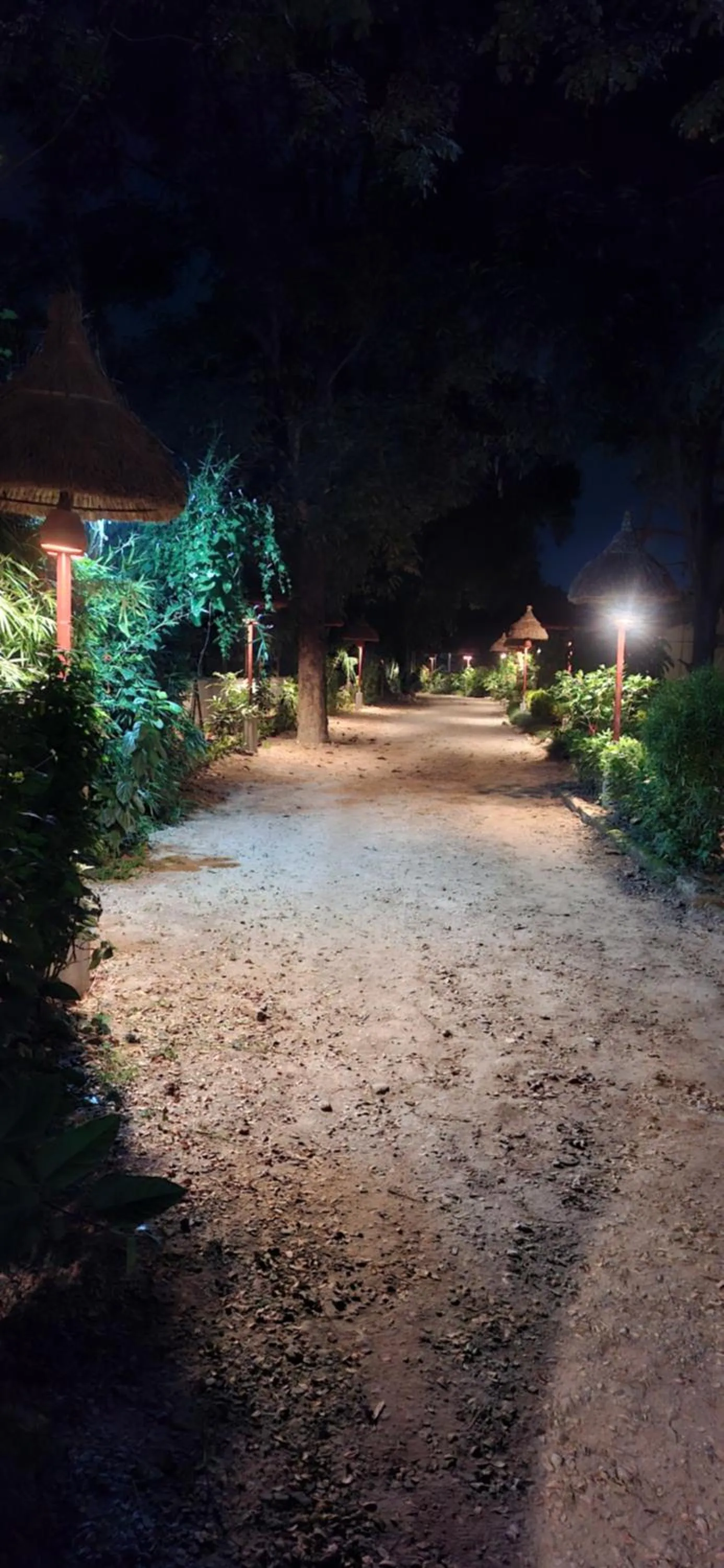 Garden in River View Jungle Camp