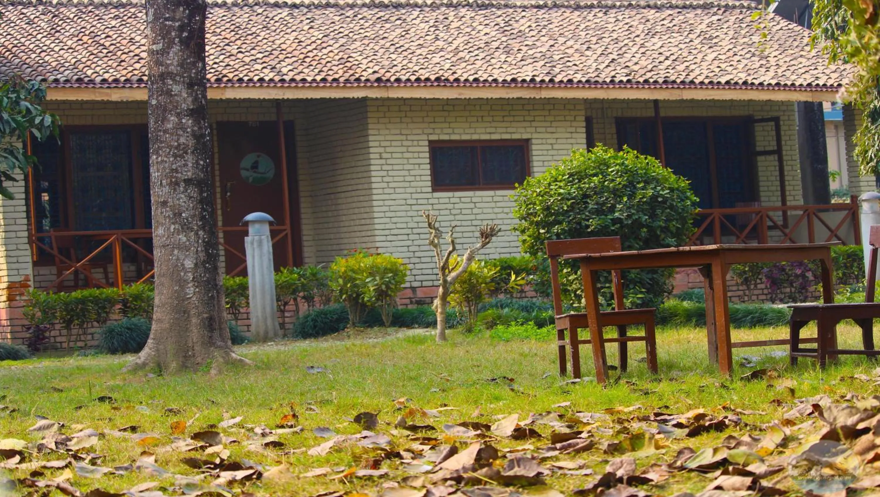 Garden view in River View Jungle Camp
