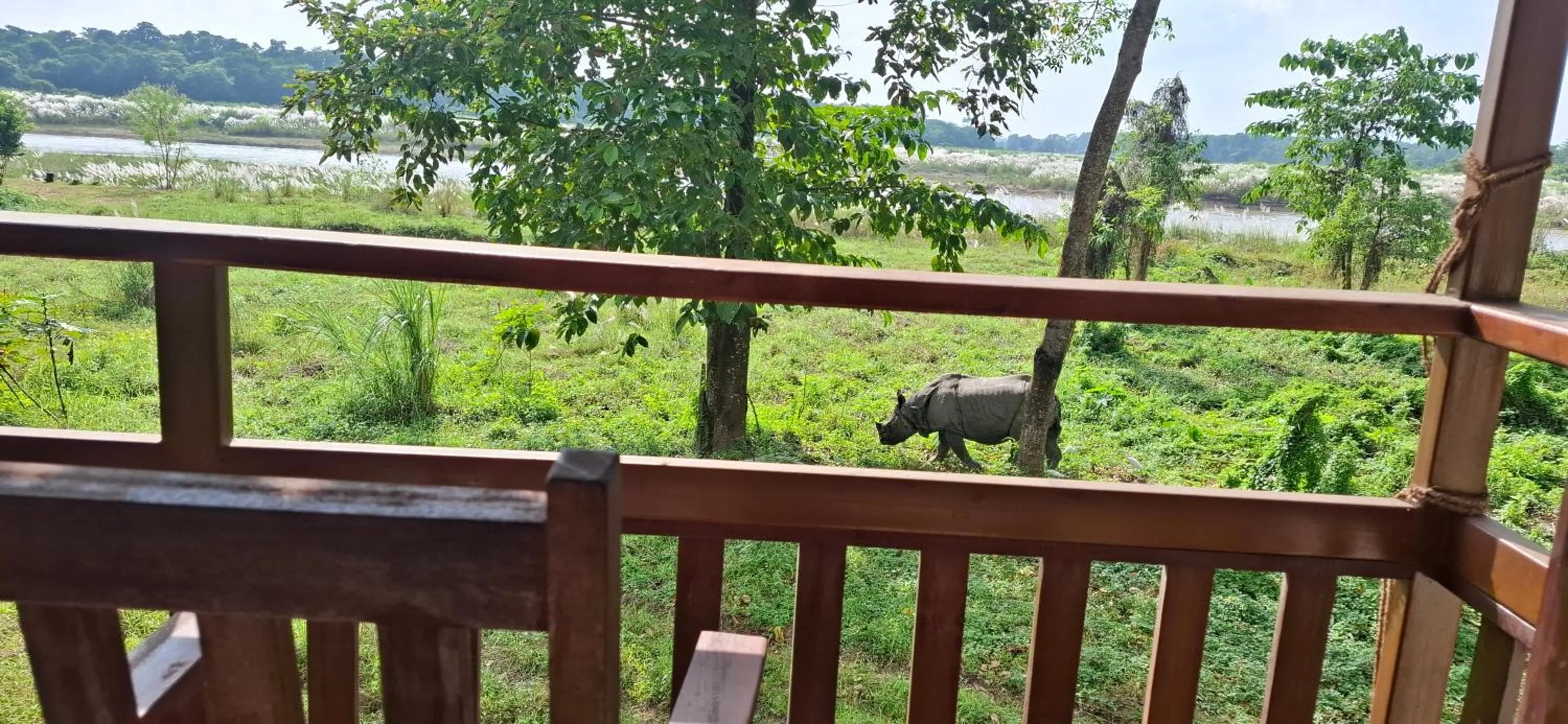 Balcony/Terrace in River View Jungle Camp