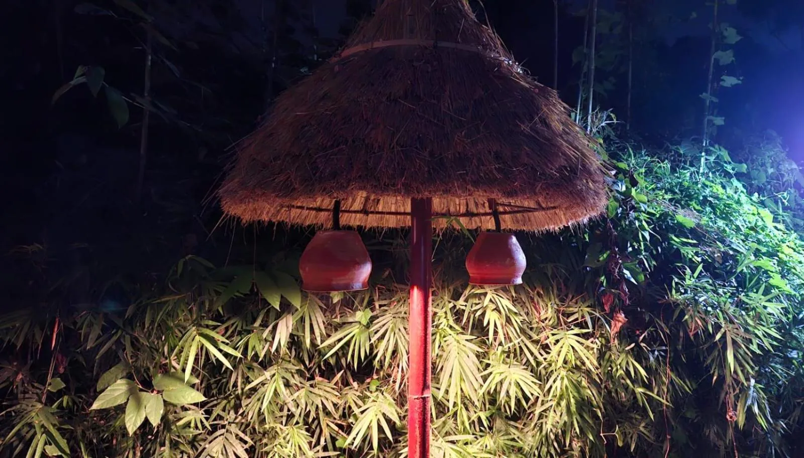 Garden in River View Jungle Camp